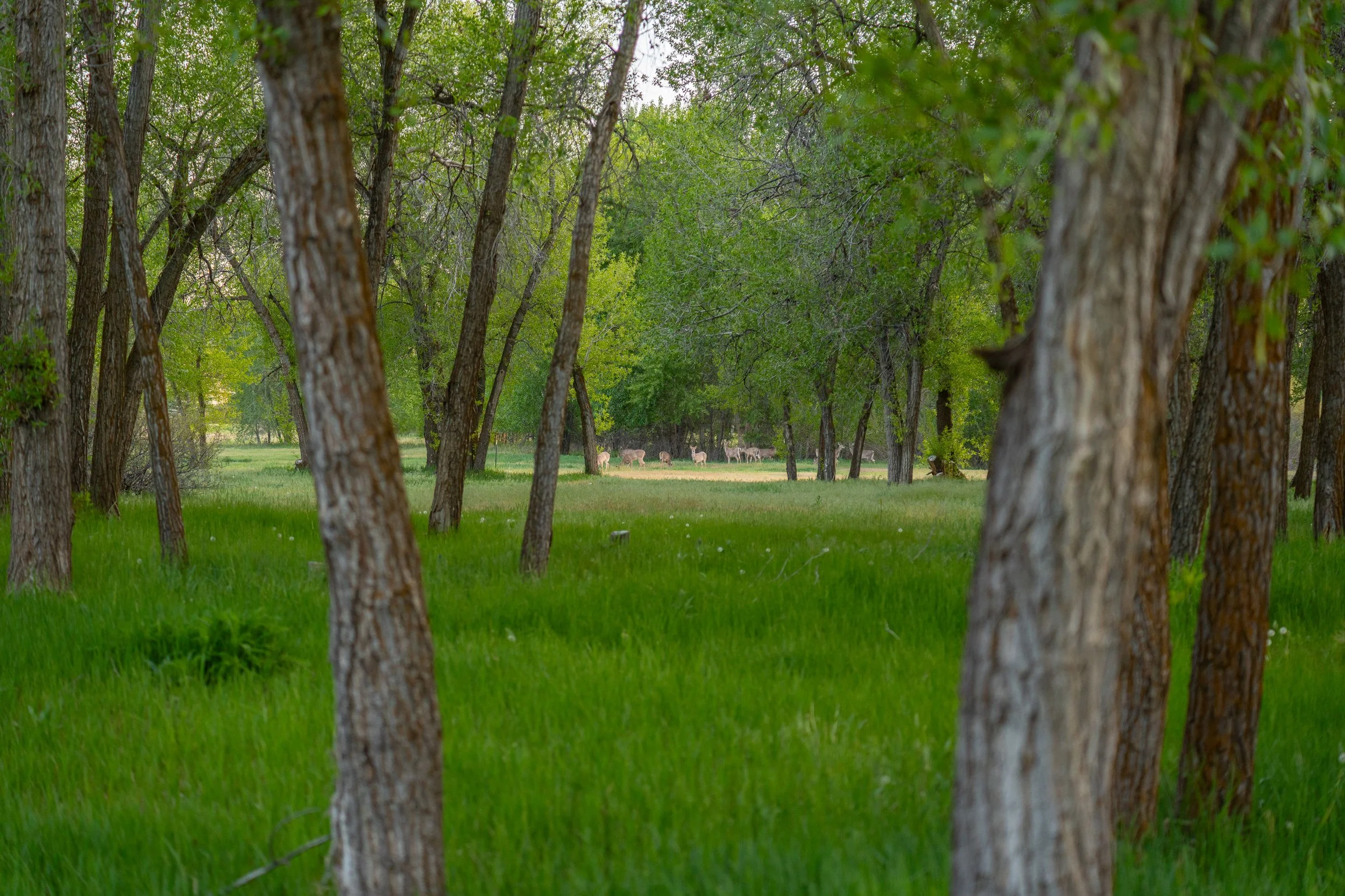 Riverbend Estates property photo 3