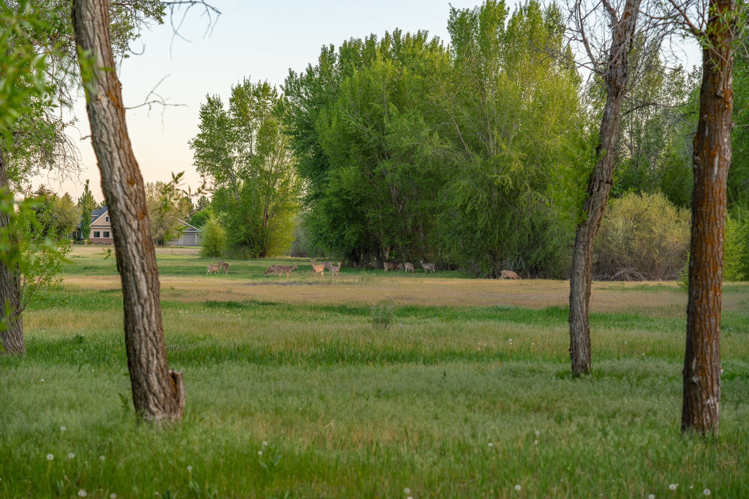 Riverbend Estates property photo 4