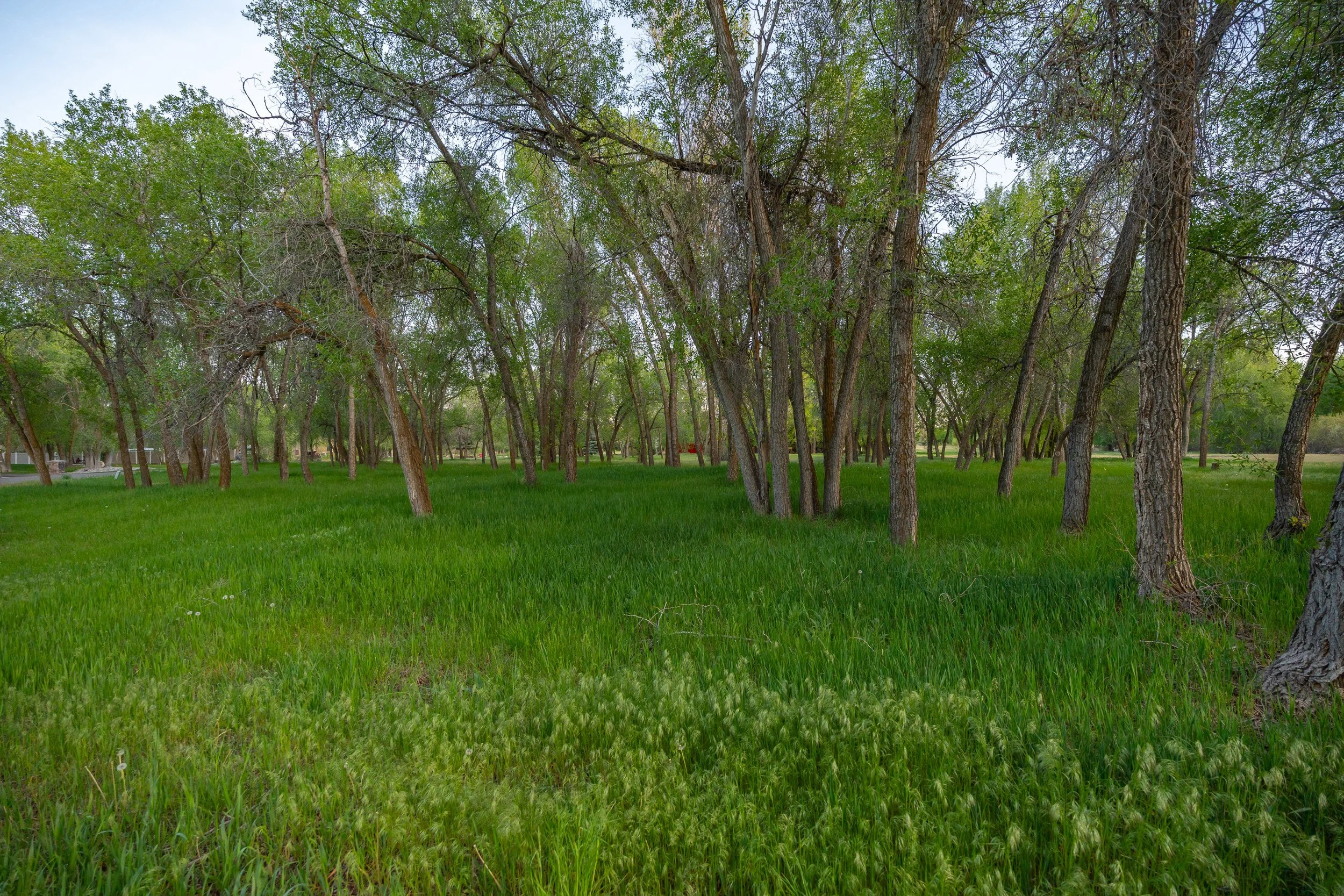 Riverbend Estates
