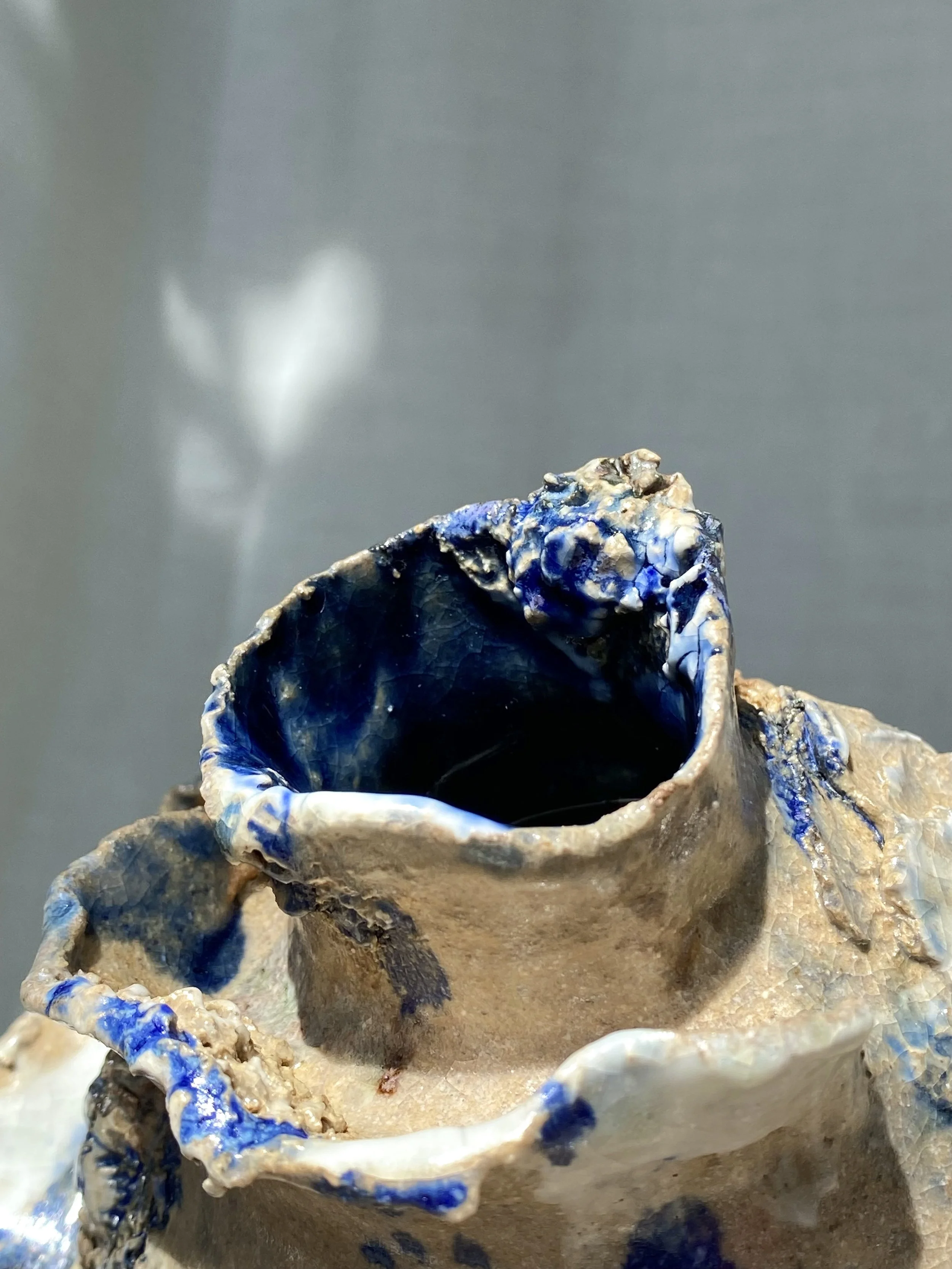 A close-up view of a seashell with blue and white colors, showing a rough interior and textured exterior against a blurred background.