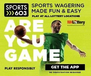 1611177367436-GCU3NMJH363DWY0VWK1W--300X250_Basketball_2.jpg
