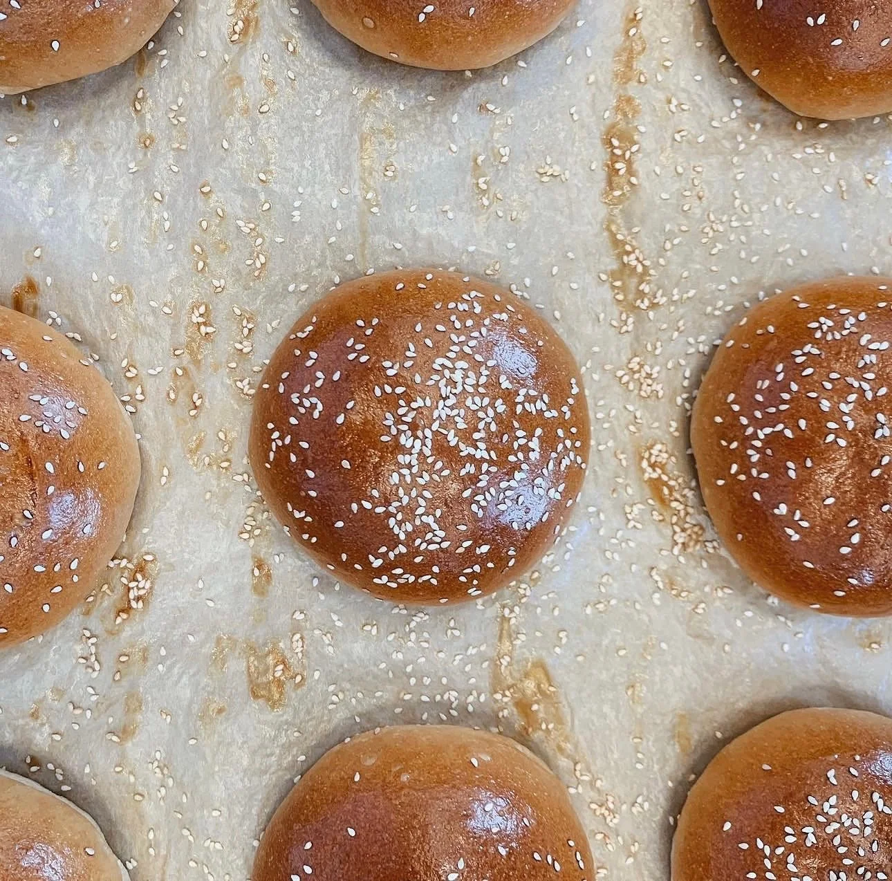 Close-up of freshly baked sesame seed buns on parchment paper.