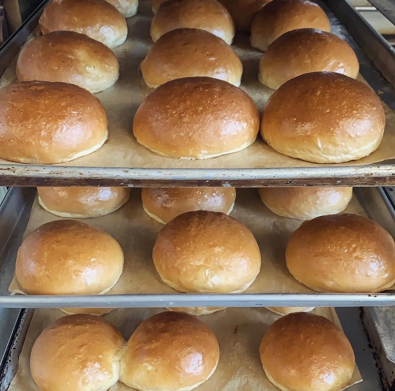 Bread on pans ready to be baked