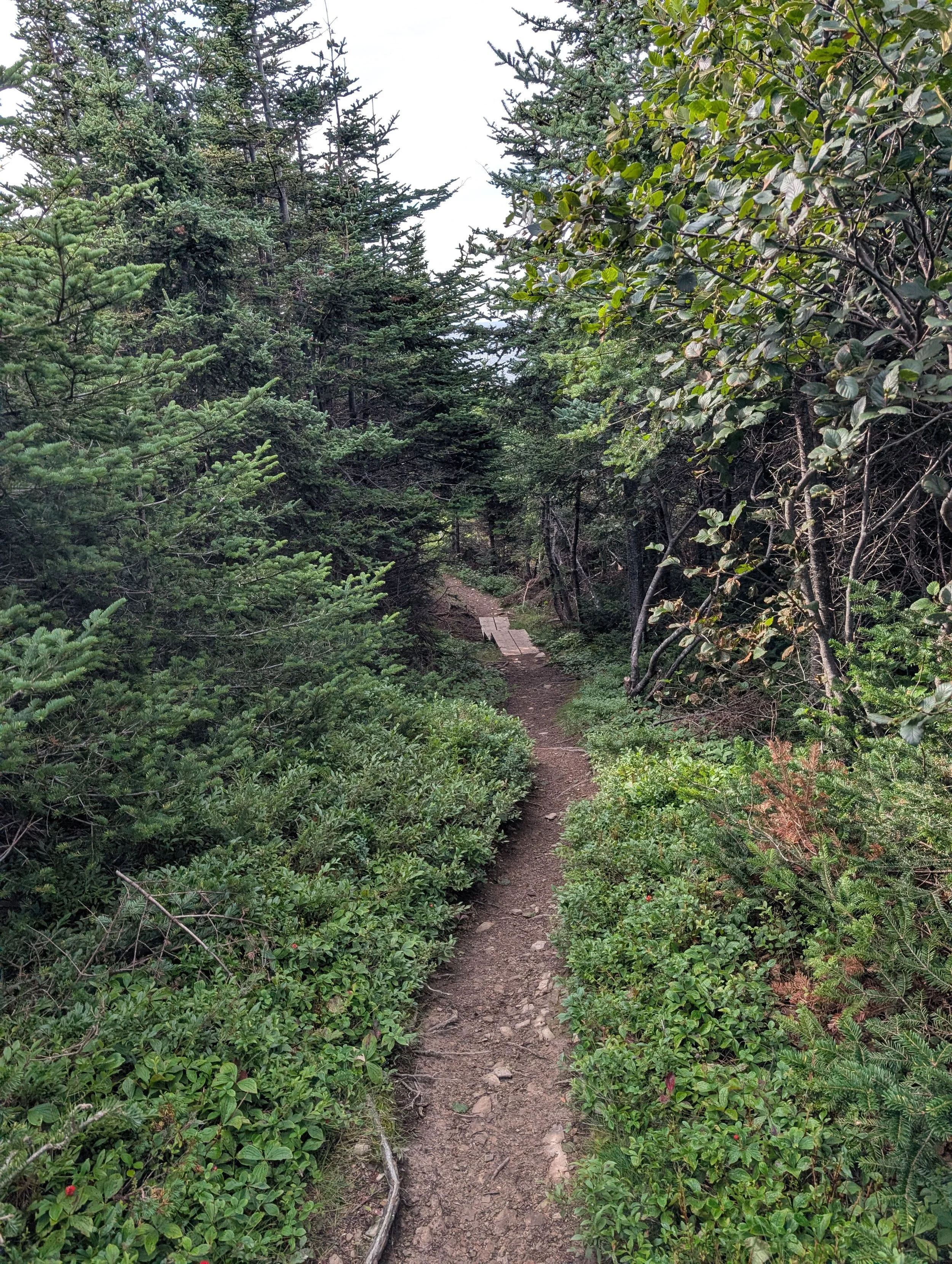 PXL_20260913_122649043.jpg