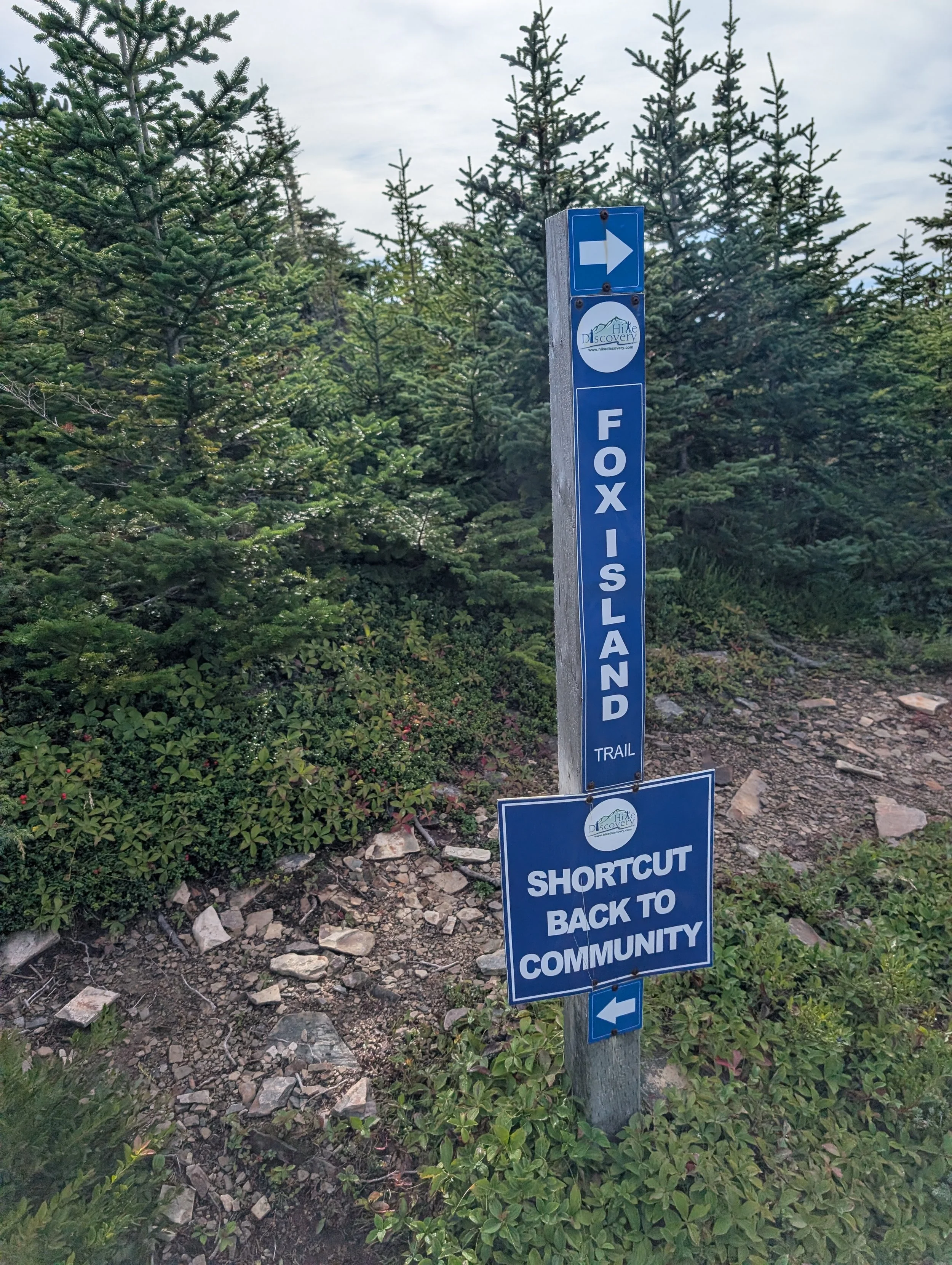 PXL_20260913_123553197.MP.jpg