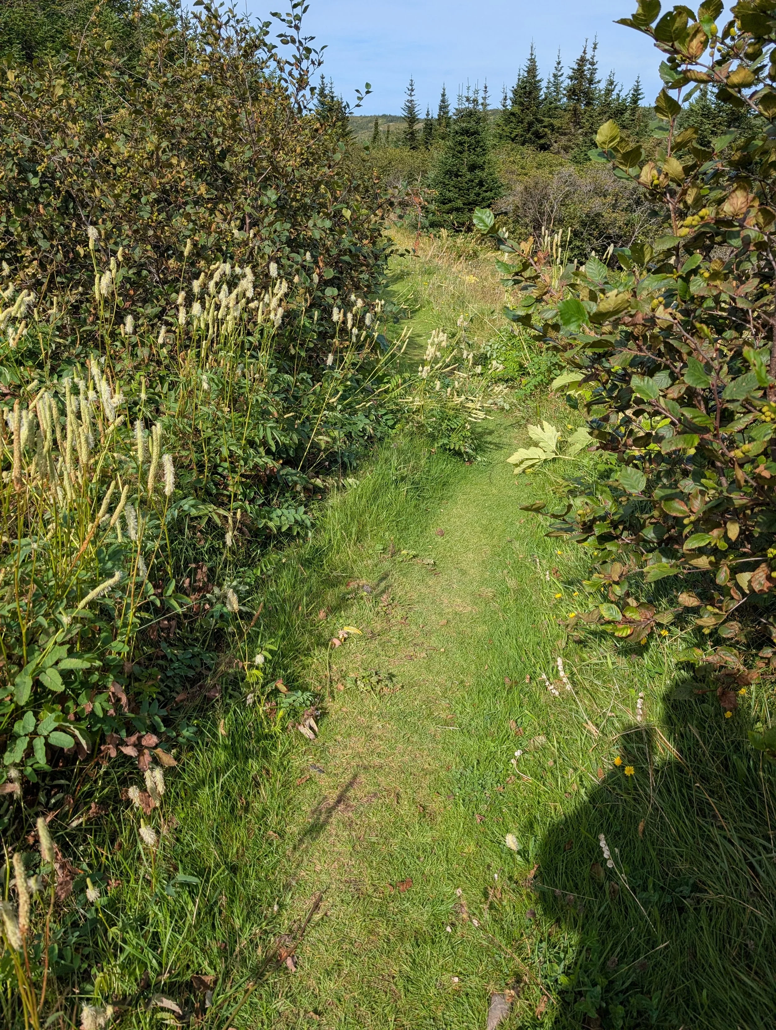 PXL_20260913_134354064.jpg