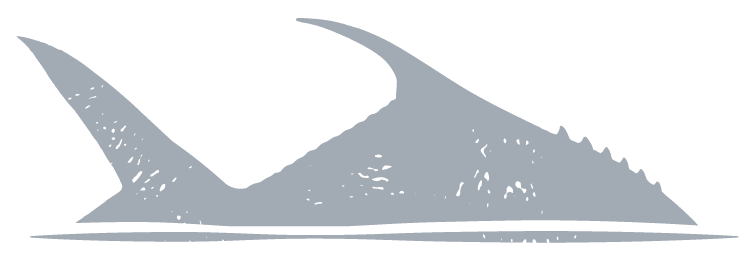 Silhouette of a sailfish jumping out of the water.