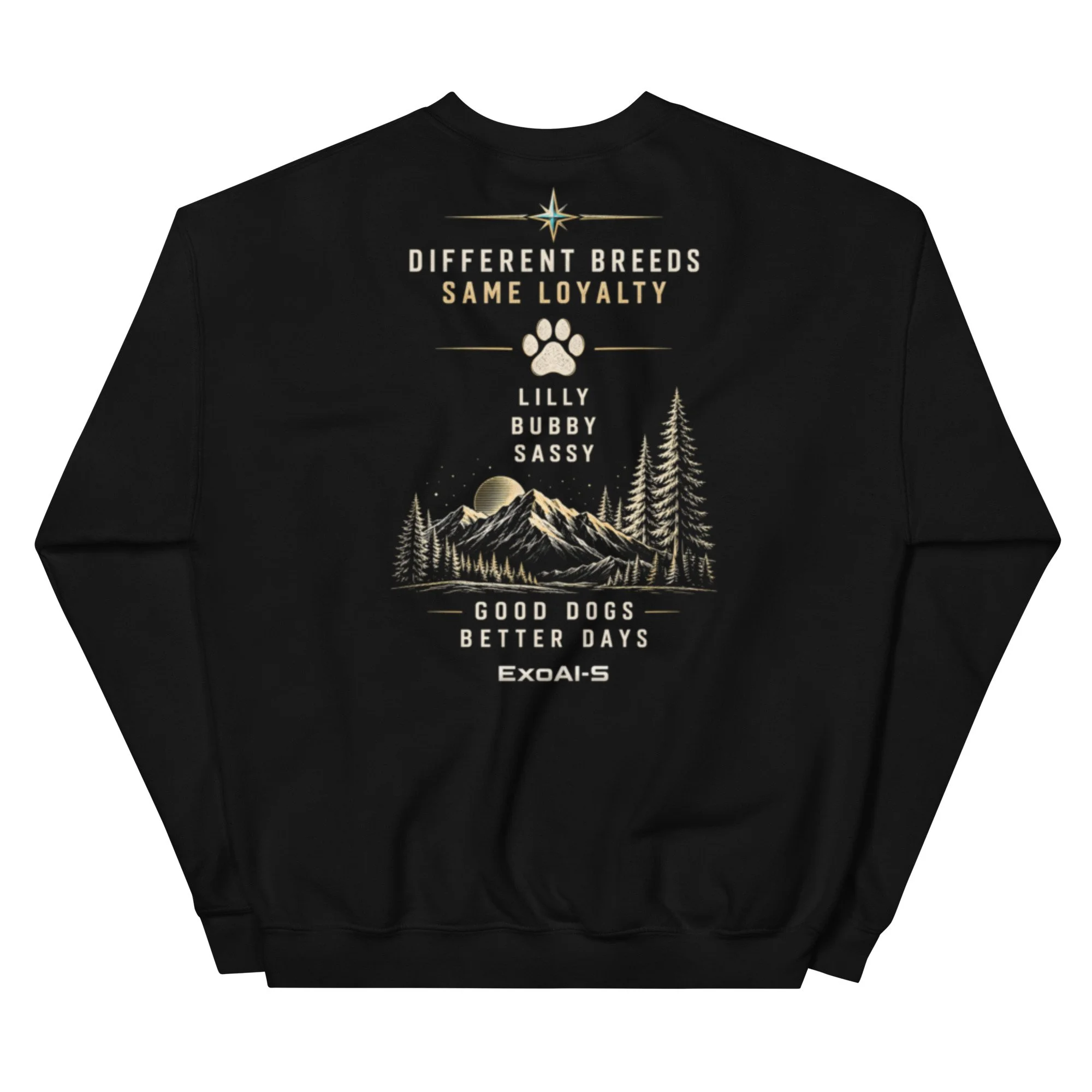 unisex-crew-neck-sweatshirt-black-back-6aa22dfa2ff34.jpg