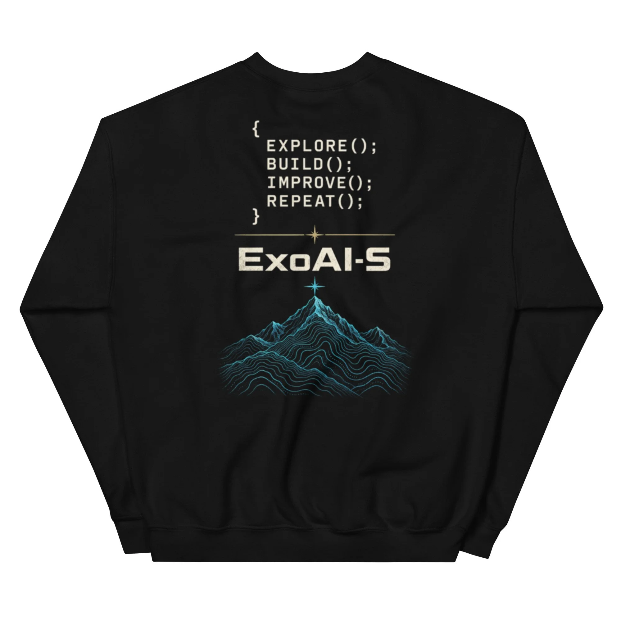 unisex-crew-neck-sweatshirt-black-back-6aa22ffe6cffd.jpg