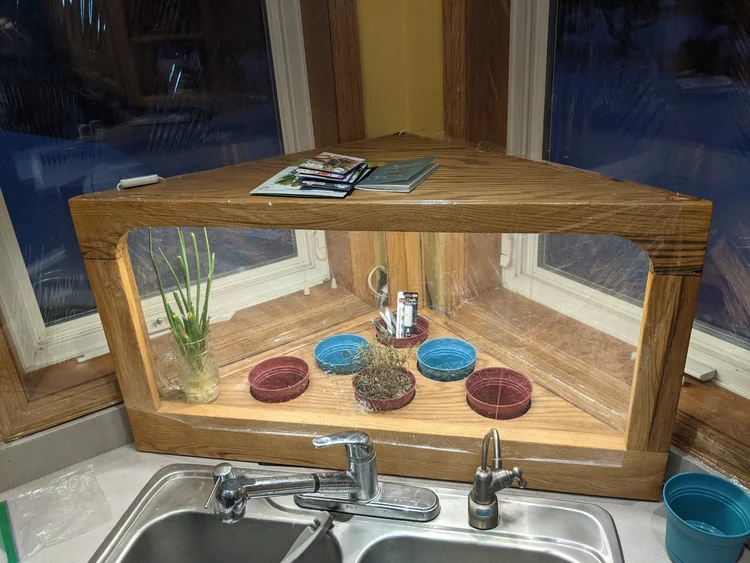 Custom Display Case