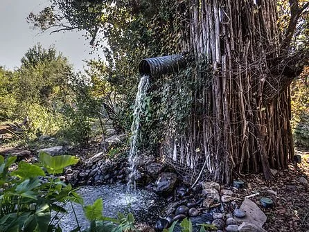 waterfall-garden-pipe-surrounded-by-vines.jpg