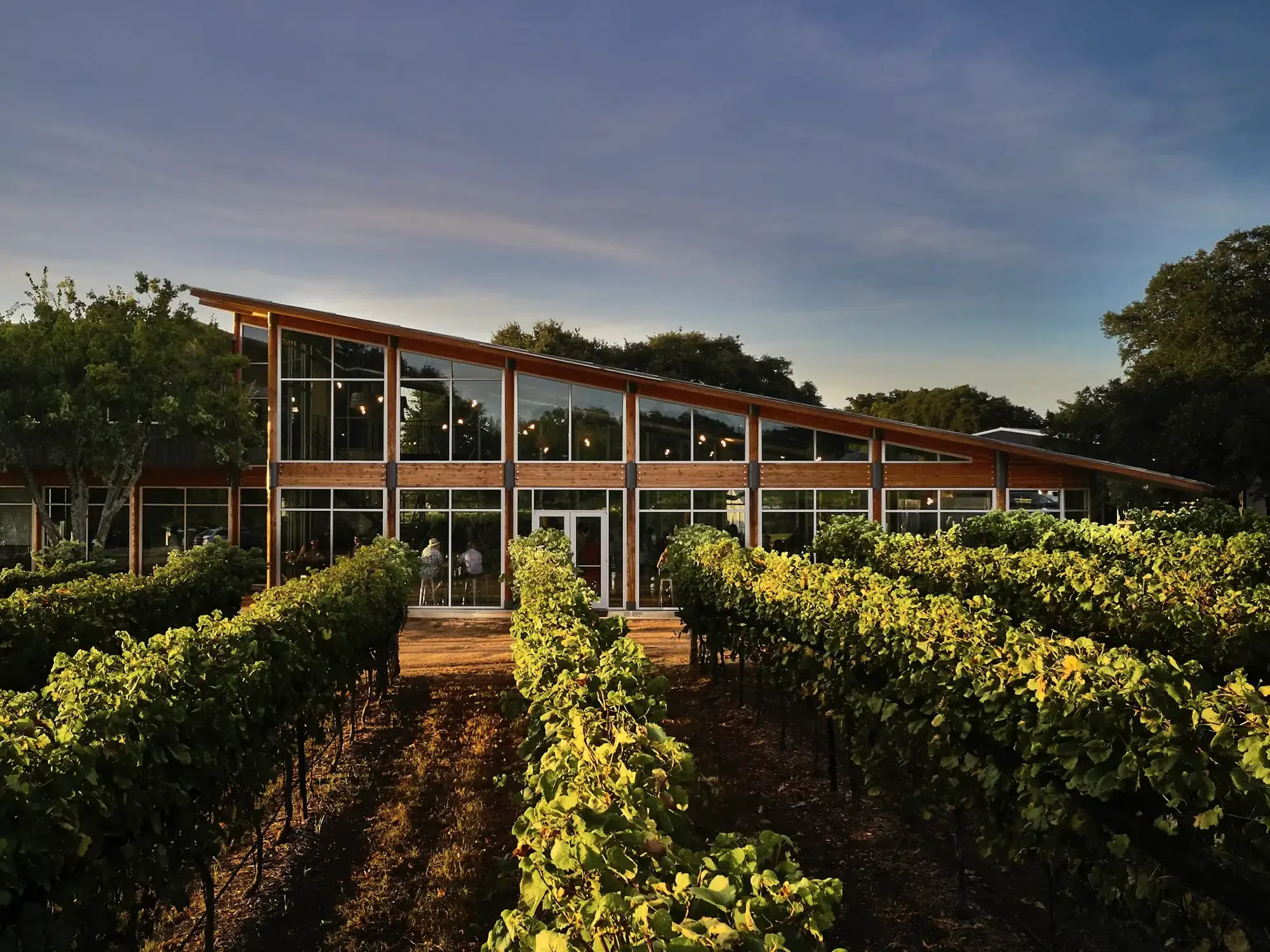 A modern building with large glass windows and a wooden sloped roof, surrounded by vineyard rows and greenery, during dusk or early evening.