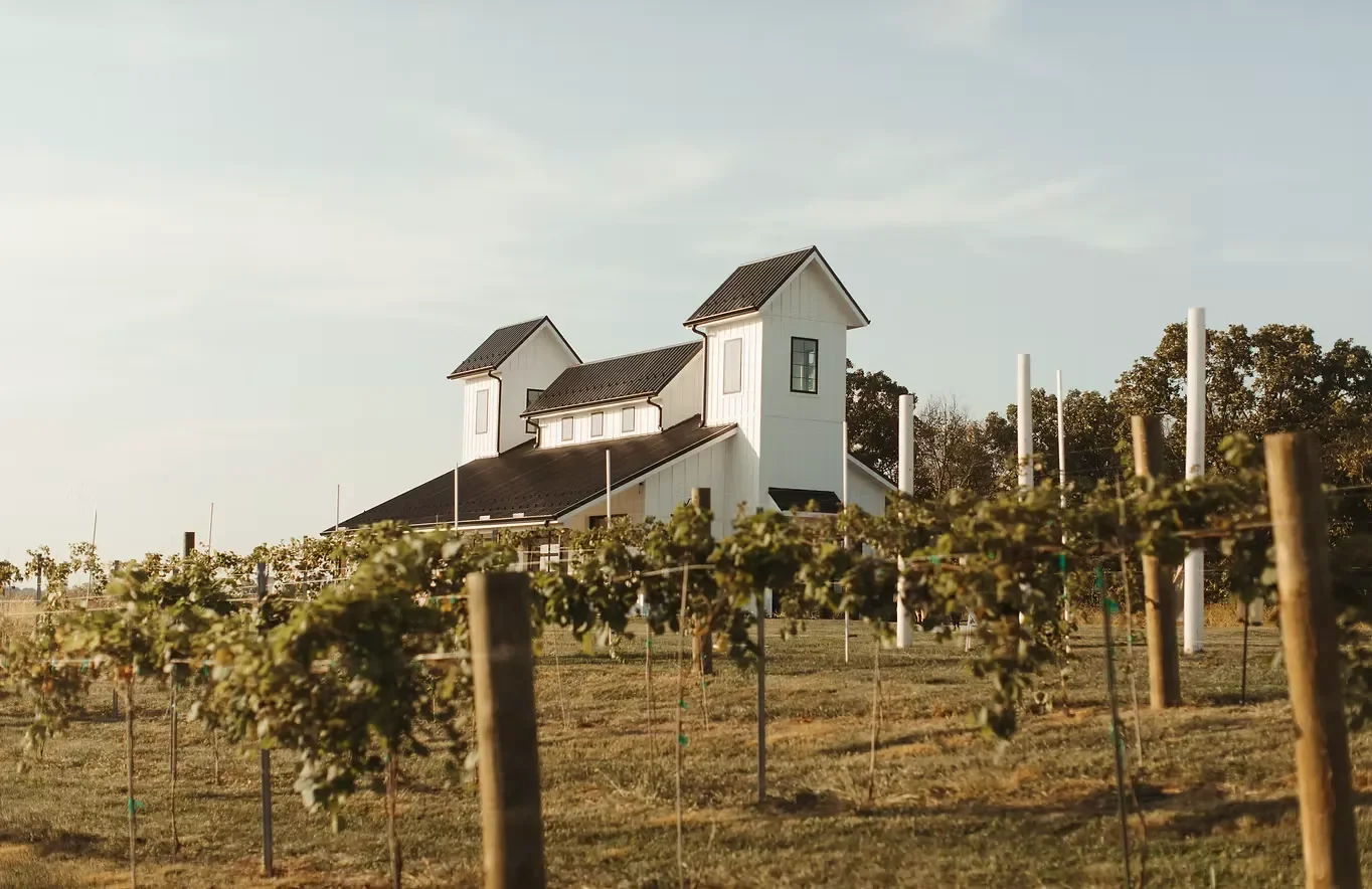 A modern farmhouse-style chapel with white walls and dark roof surrounded by vineyard rows under a clear sky