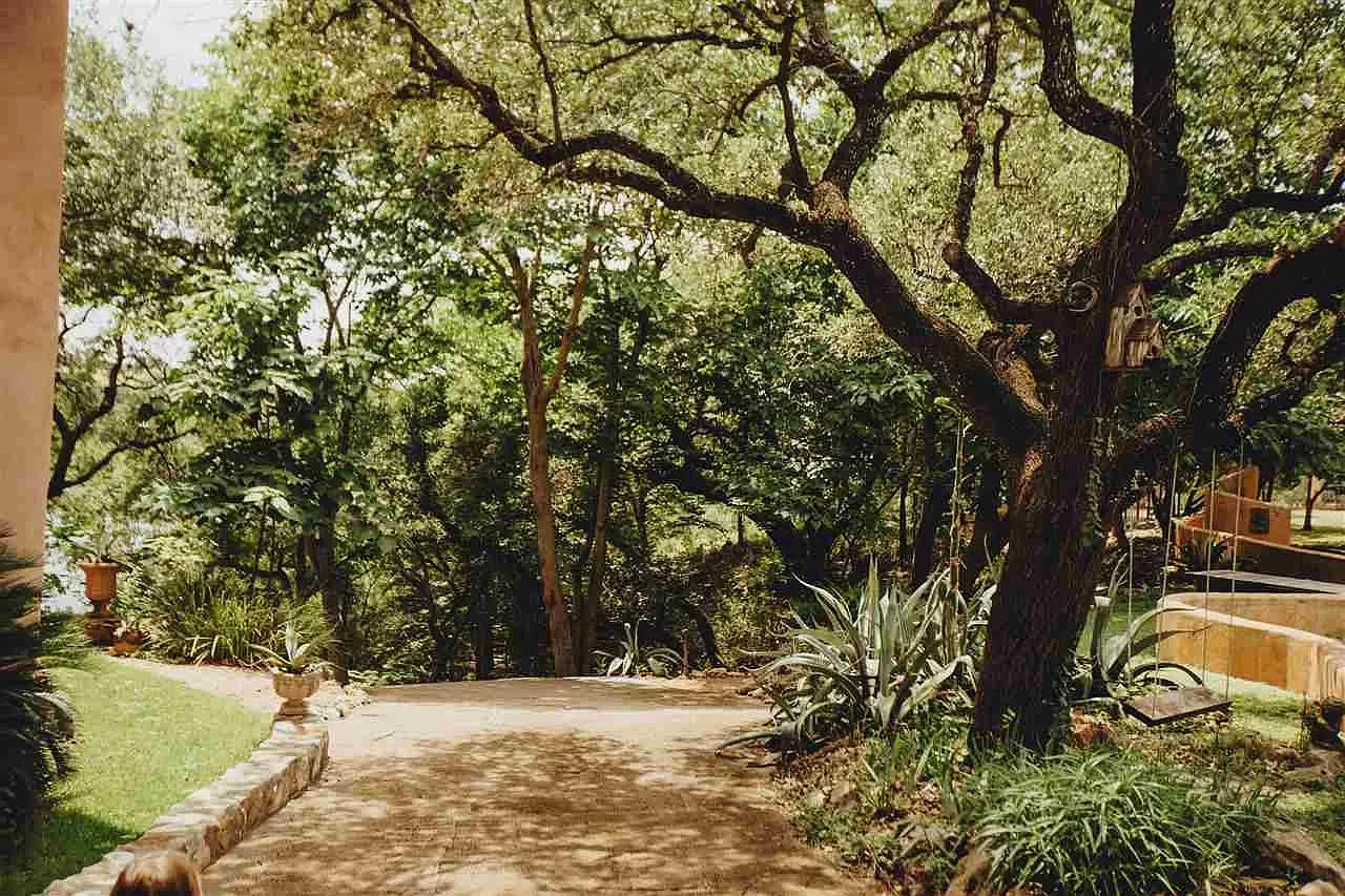 spicewood-texas-hill-country-landscape-shade-garden.webp