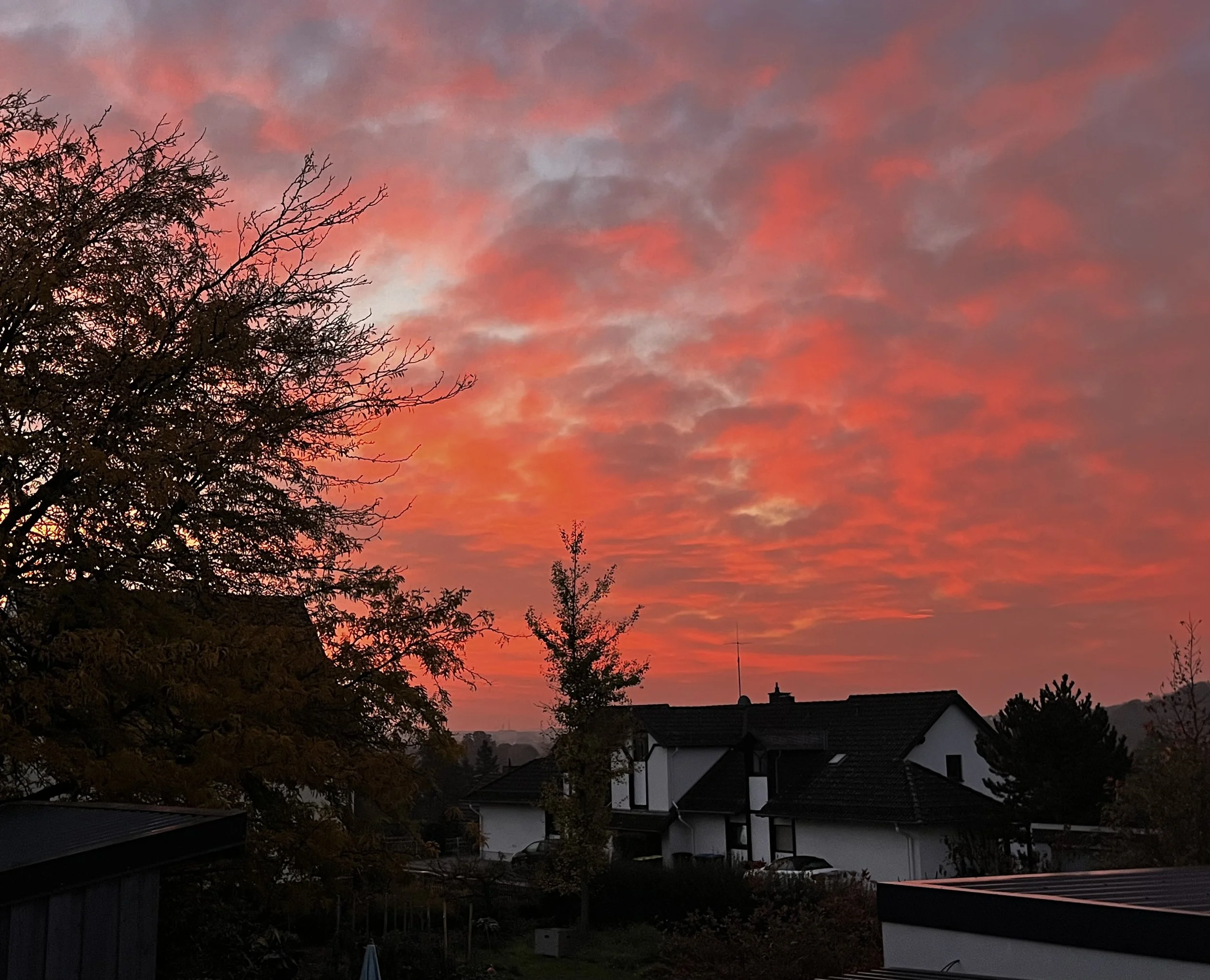 Abendrot at home.jpeg