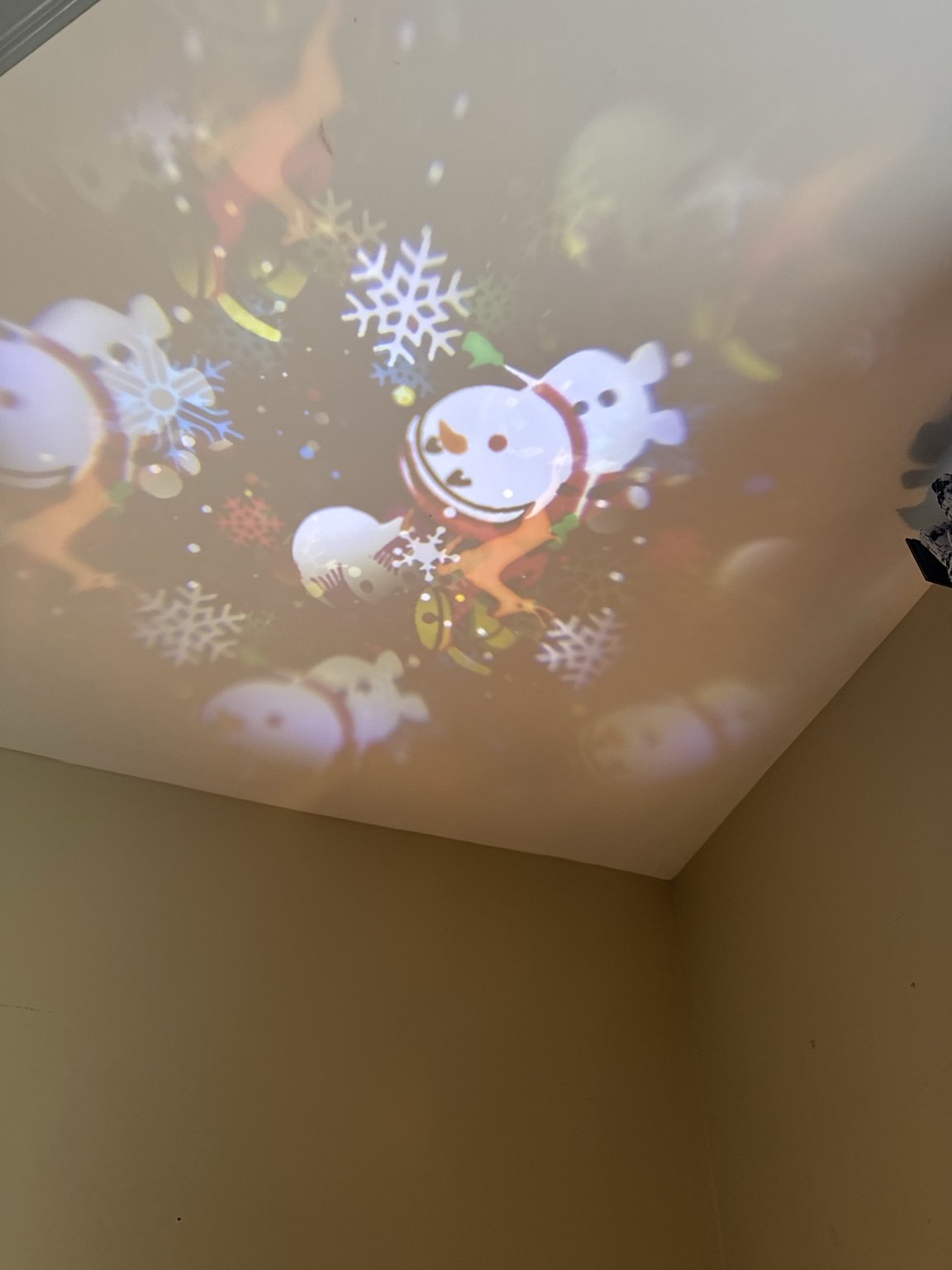 ProjectorWINTER.jpg