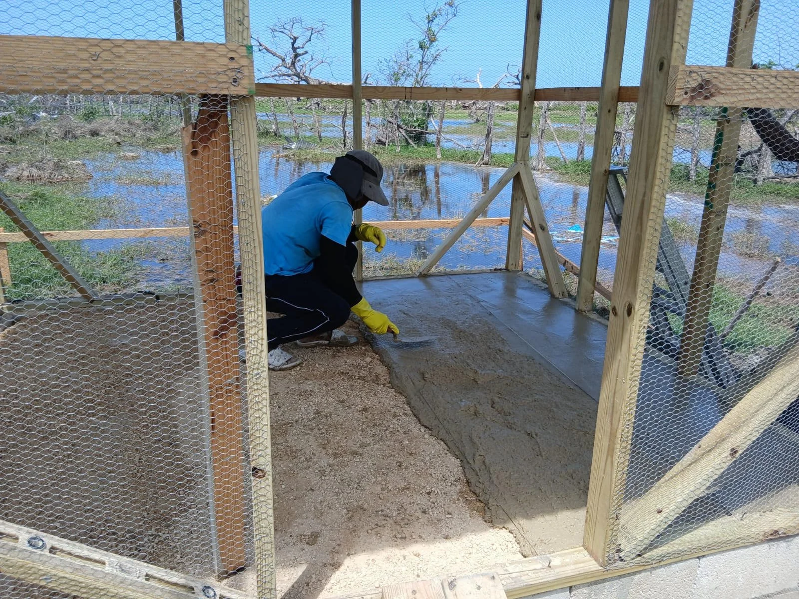 Chicken Coop 5.jpg