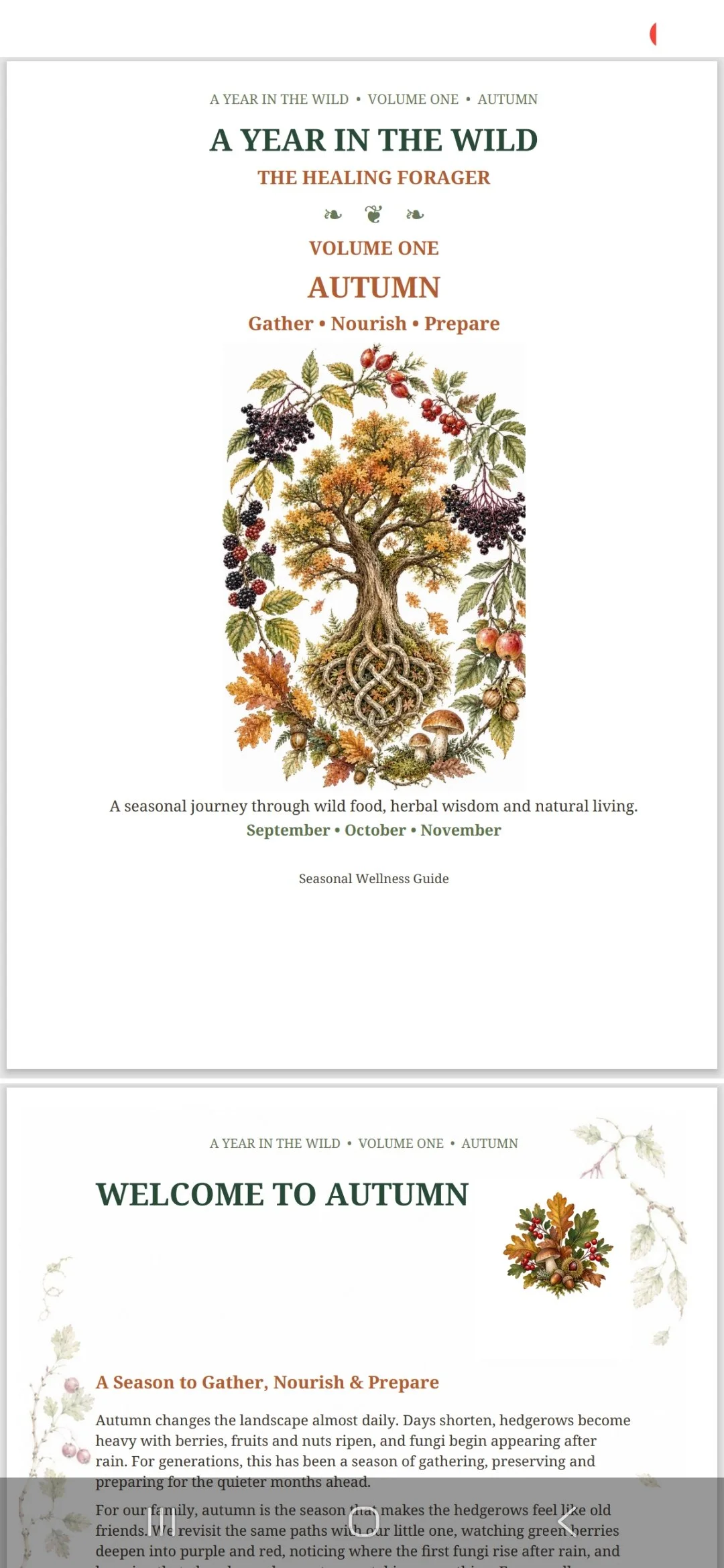 A Year in the Wild: Autumn — A 64-page illustrated seasonal foraging and nature-connection workbook