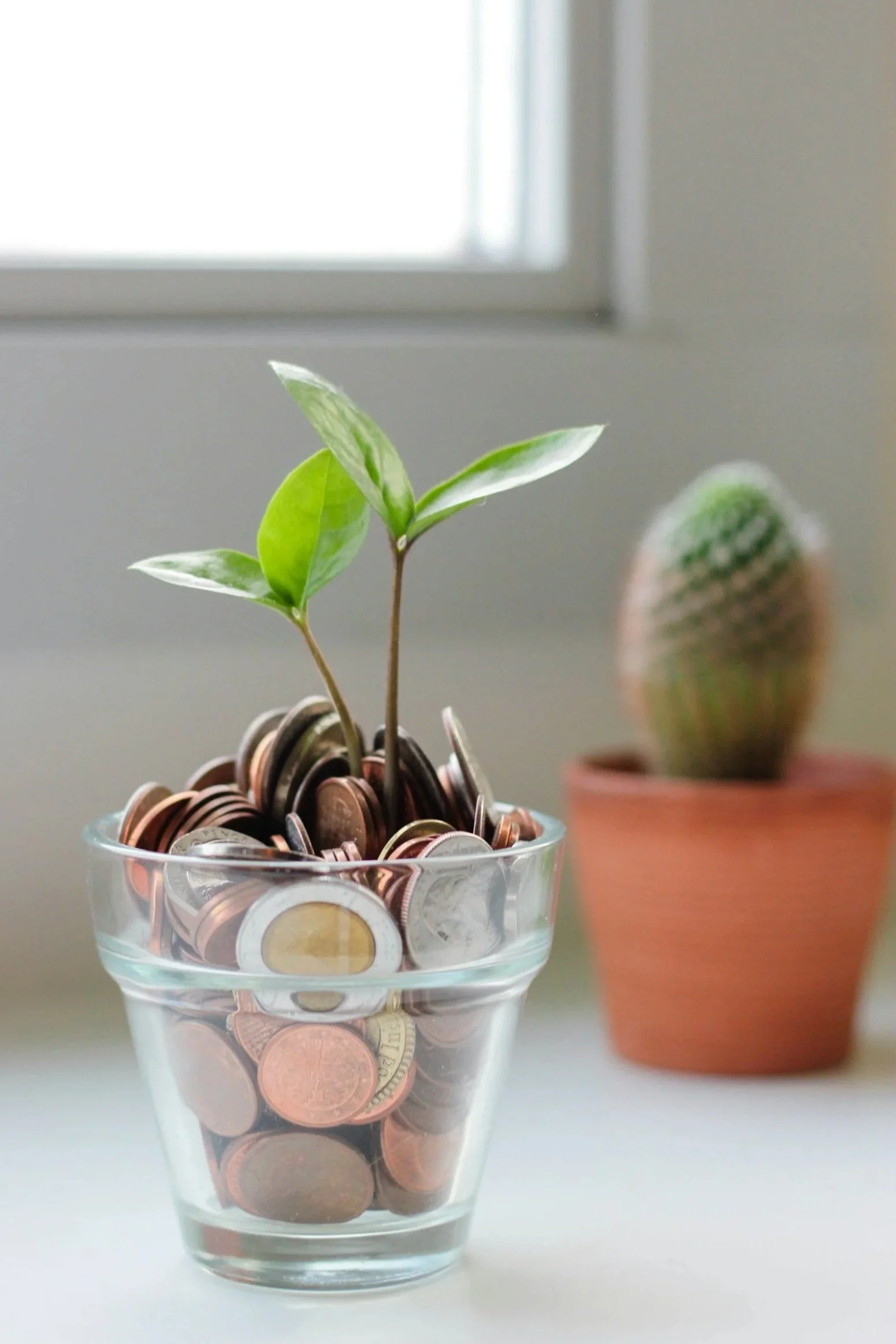 Glass bowl filled with various coins, with a small plant growing out of it, and a potted cactus in the background.