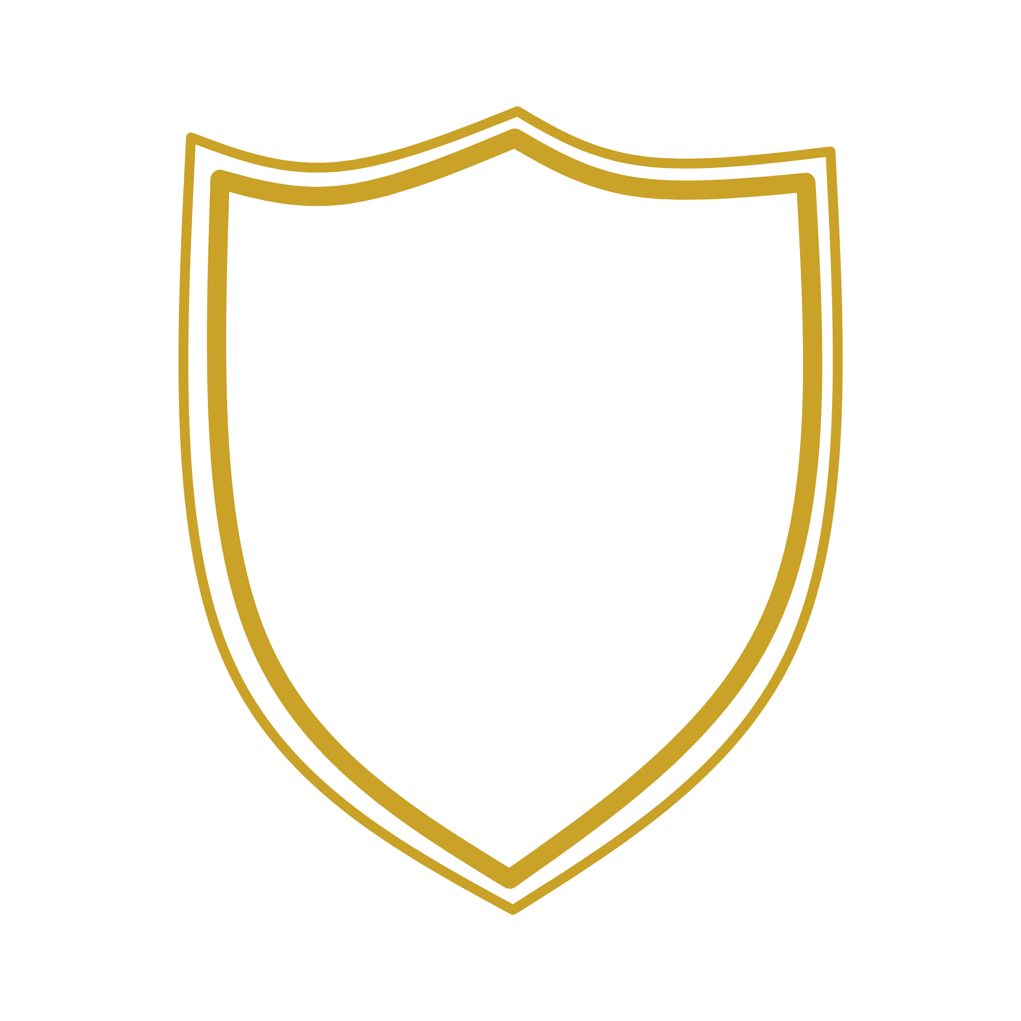 Gold outline of a shield on a black background.