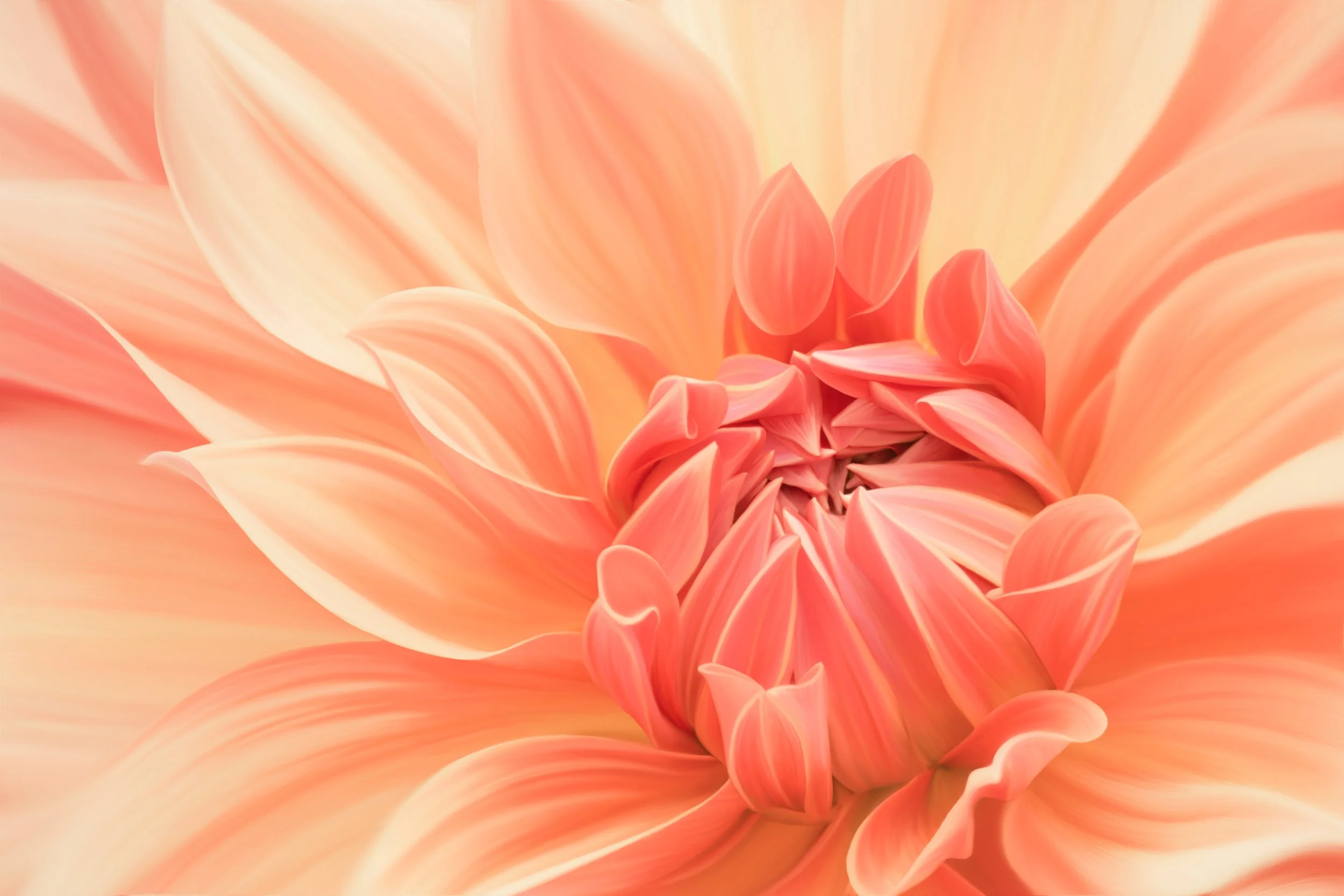 Close-up of a peach-colored dahlia flower with many ruffled petals.