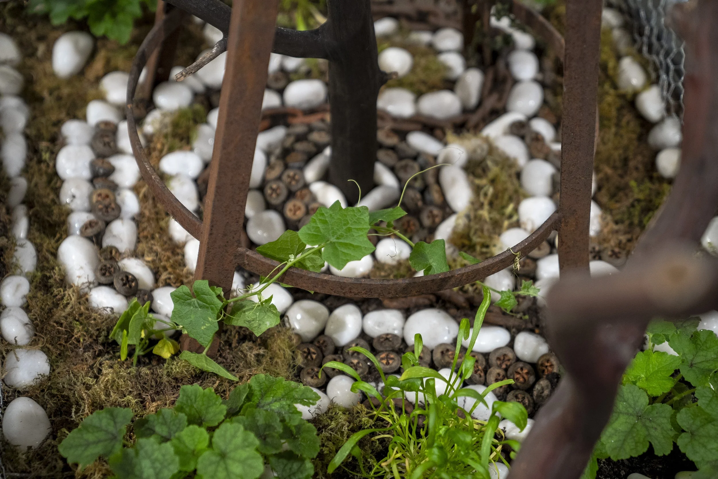 Memory Garden (for Derek Jarman) (2024)