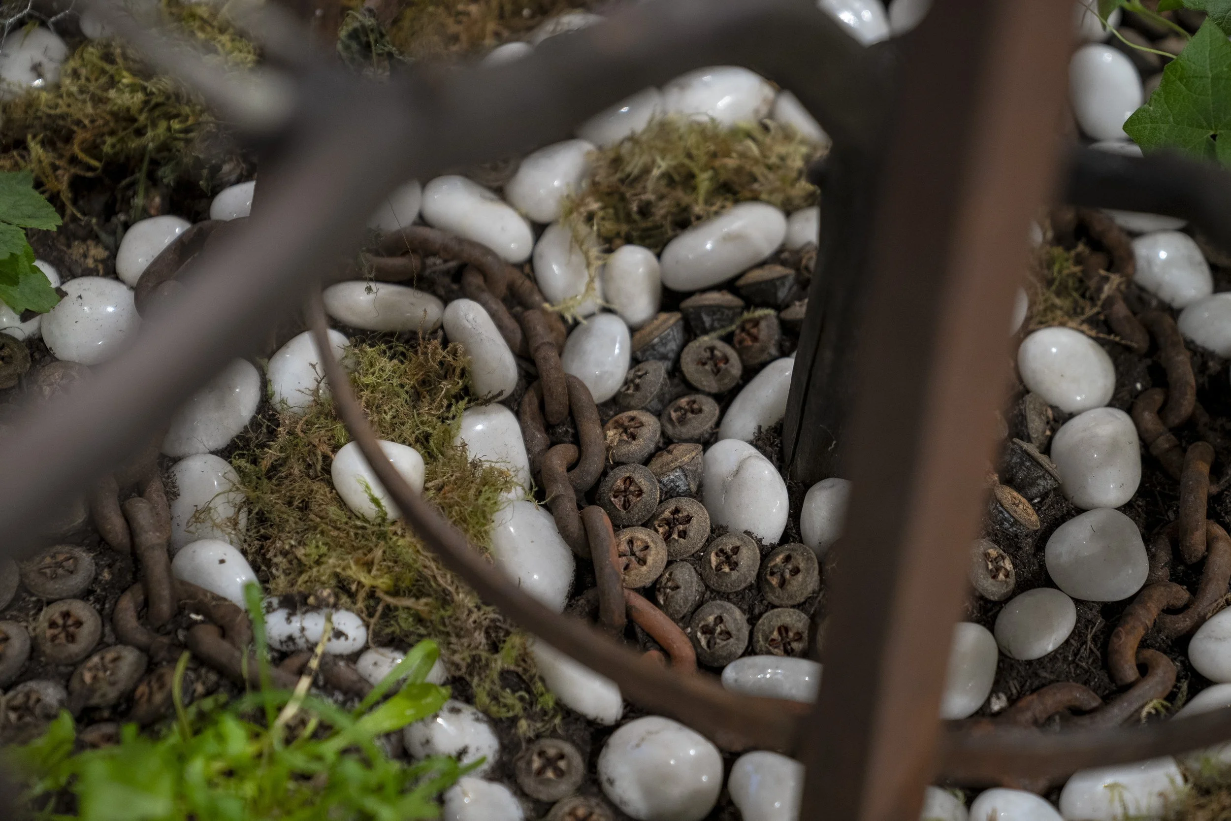2024_MemoryGarden_MInooshZomorodinia_5.jpg