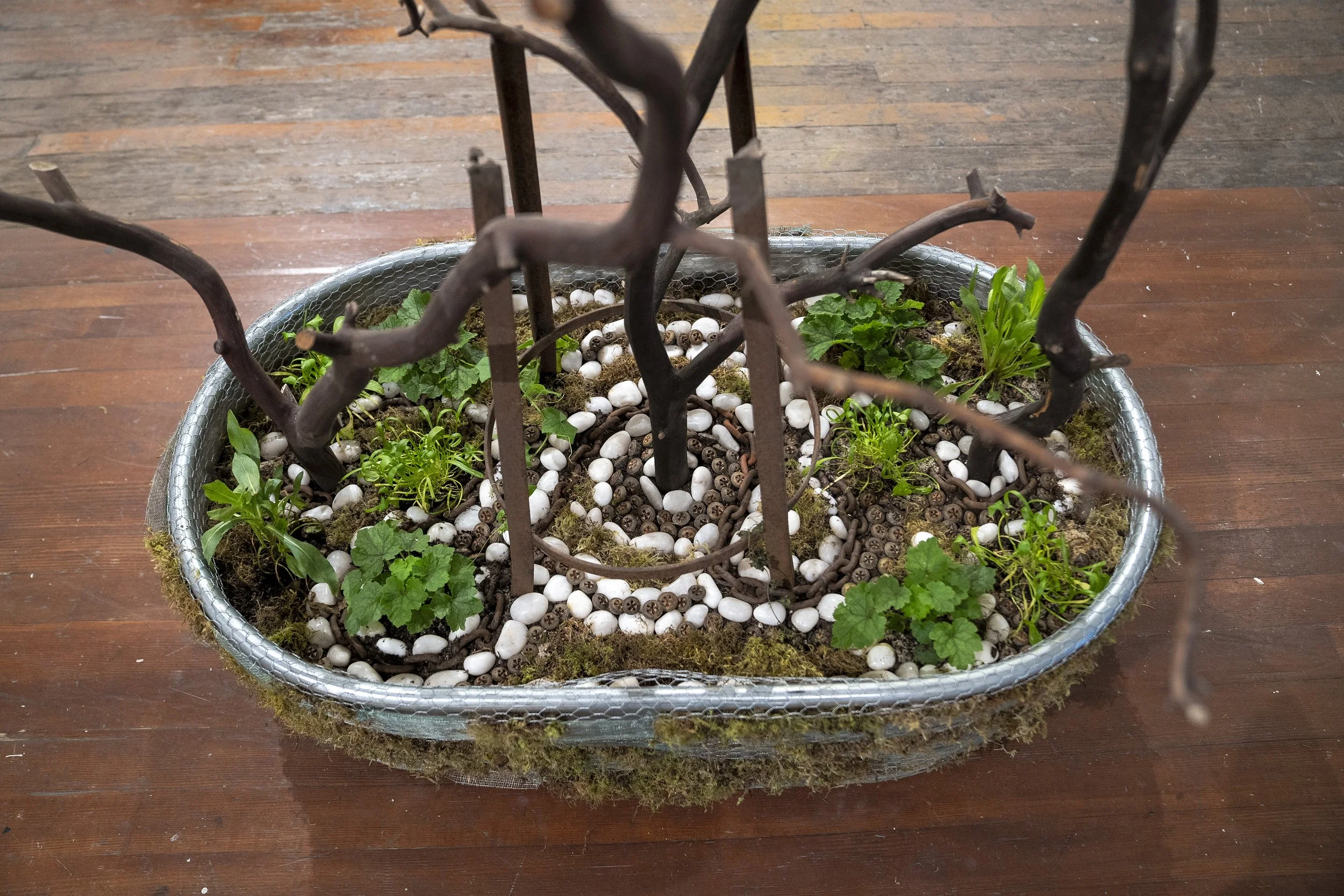 2024_MemoryGarden_MInooshZomorodinia_9.jpg