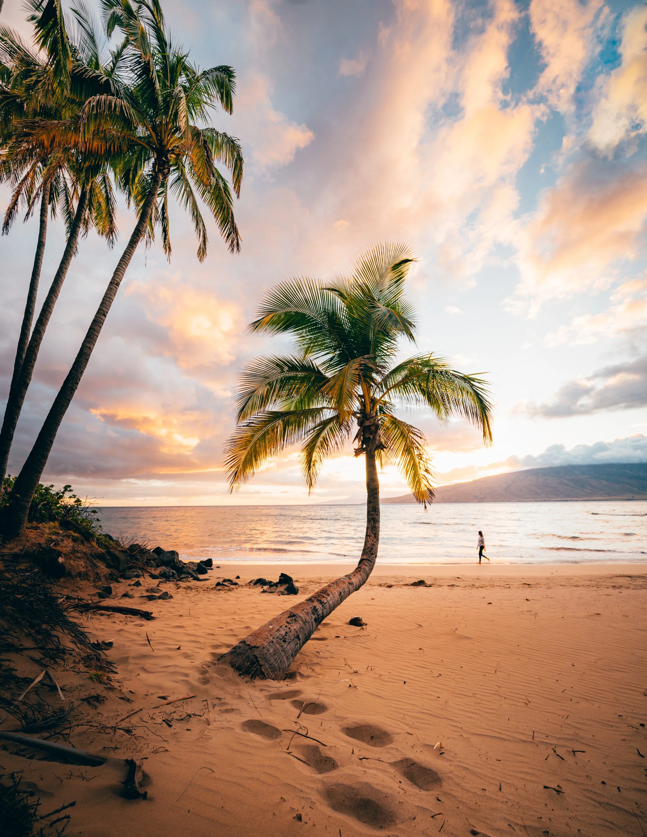Beach scene at sunset with palm trees, sandy shore, and a person walking along the water.