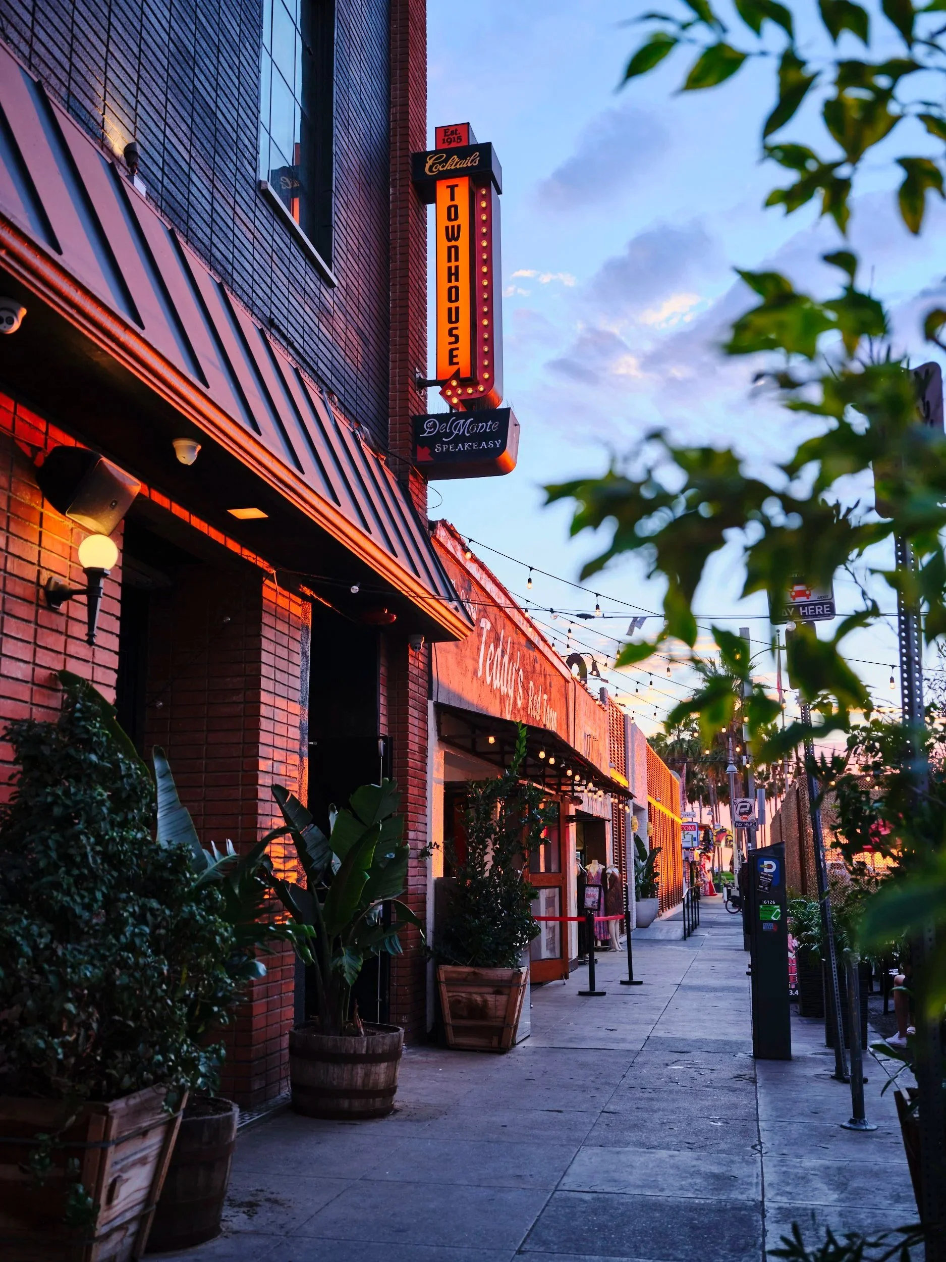 A storefront on a city street during sunset with hanging lights and greenery in planters in front. The sign indicates it is a taco and tequila bar, and there are parking meters and people visible along the sidewalk.