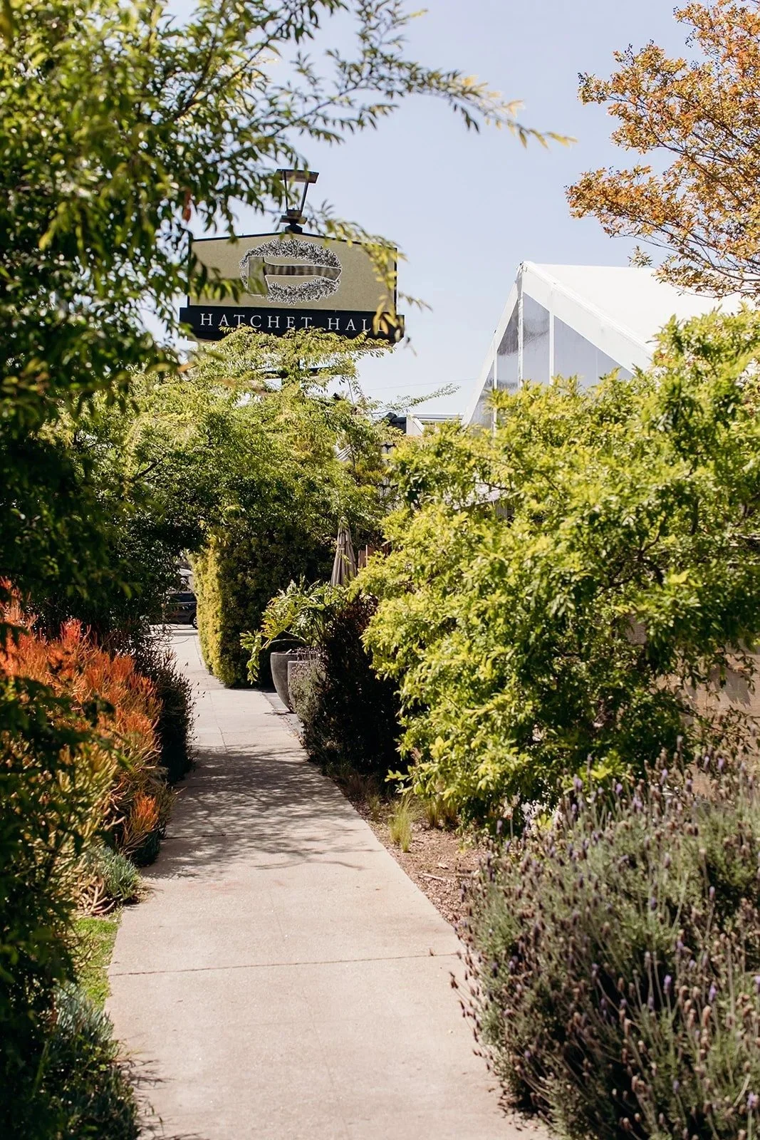 Sidewalk lined with lush green bushes and plants leading to the entrance of Hatchet Hall, with a hanging sign and a greenhouse visible in the background.