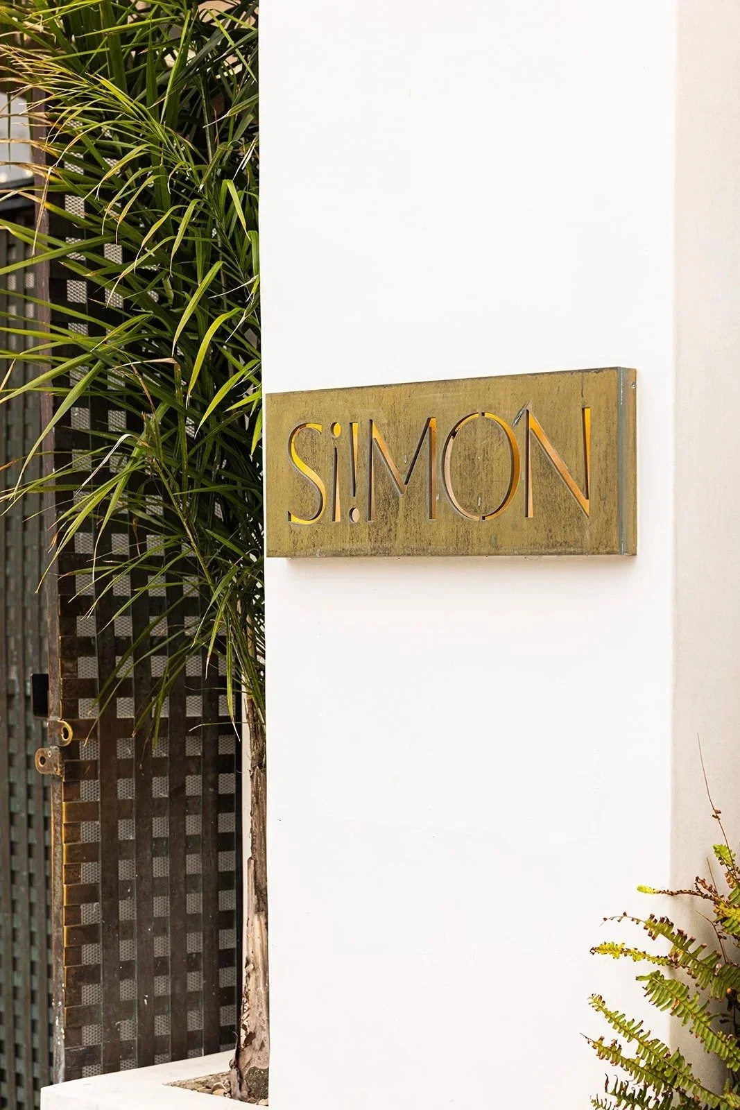 A wall with a metal sign reading 'S!MON', a plant with long green leaves on the left, and a black fence with a pattern behind it.
