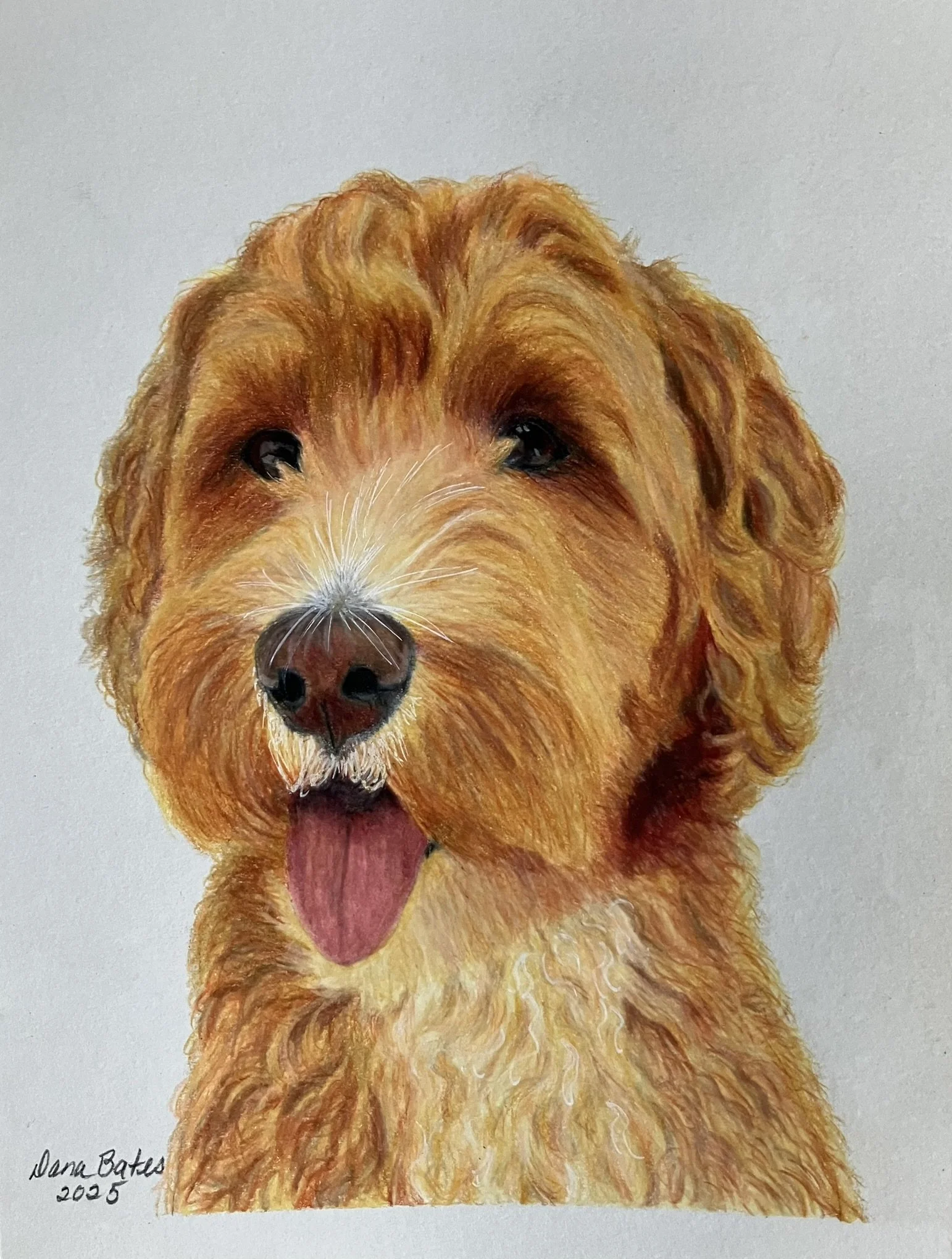 Colored Pencil Pet Portraits