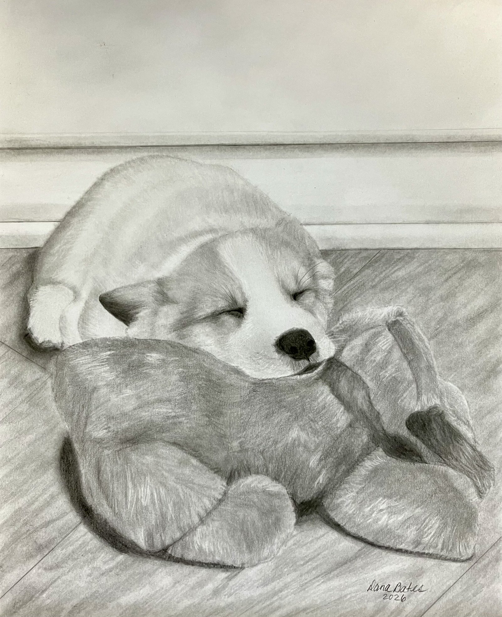 A pencil sketch of a sleeping dog curled up on the floor. The sketch emphasizes the dog's relaxed posture and detailed fur texture. The artist's signature and date are in the bottom right corner.