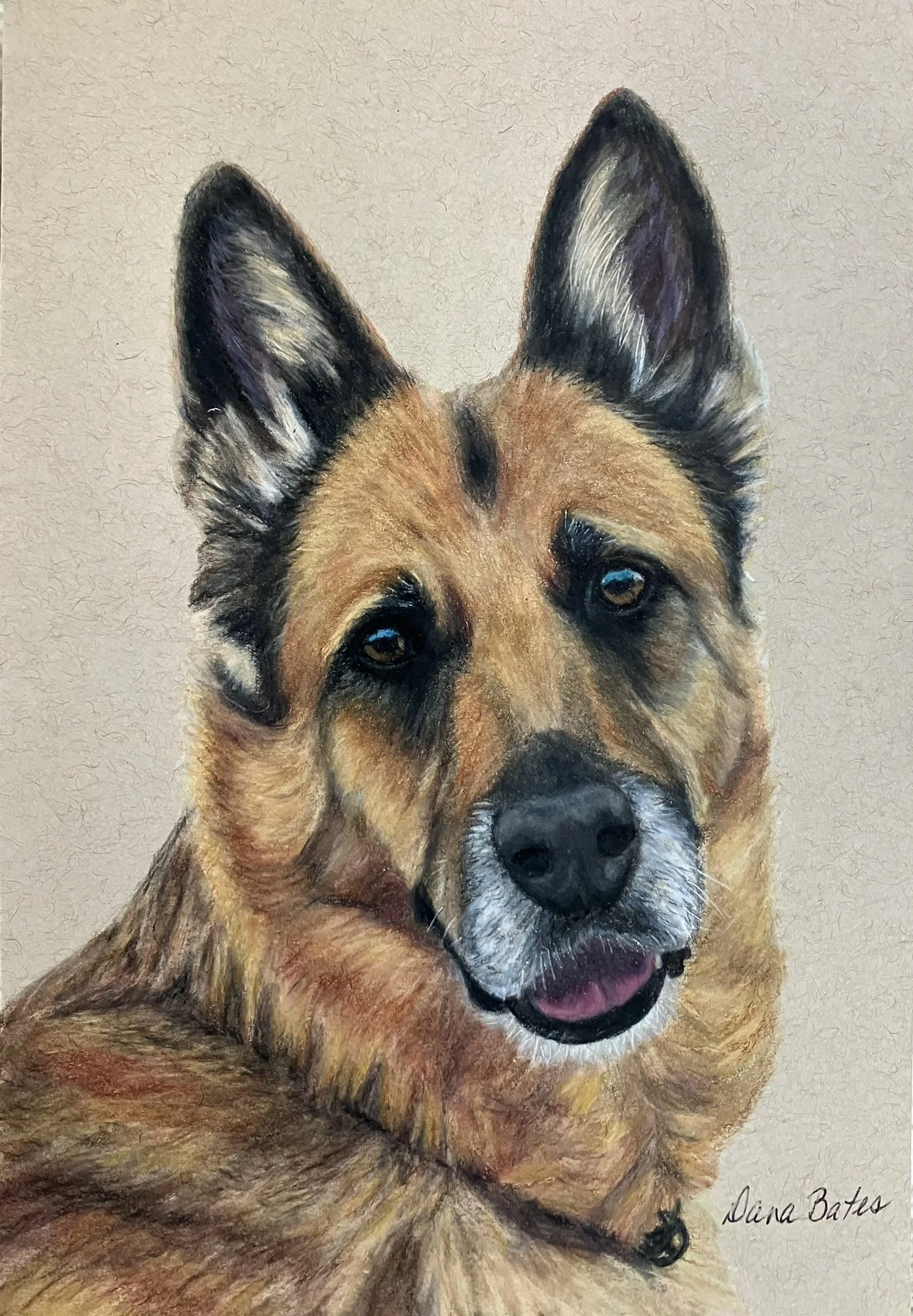 Colorful portrait of a German Shepherd dog, showing its face and upper body, with detailed fur and expressive eyes, signed by Dana Bath.