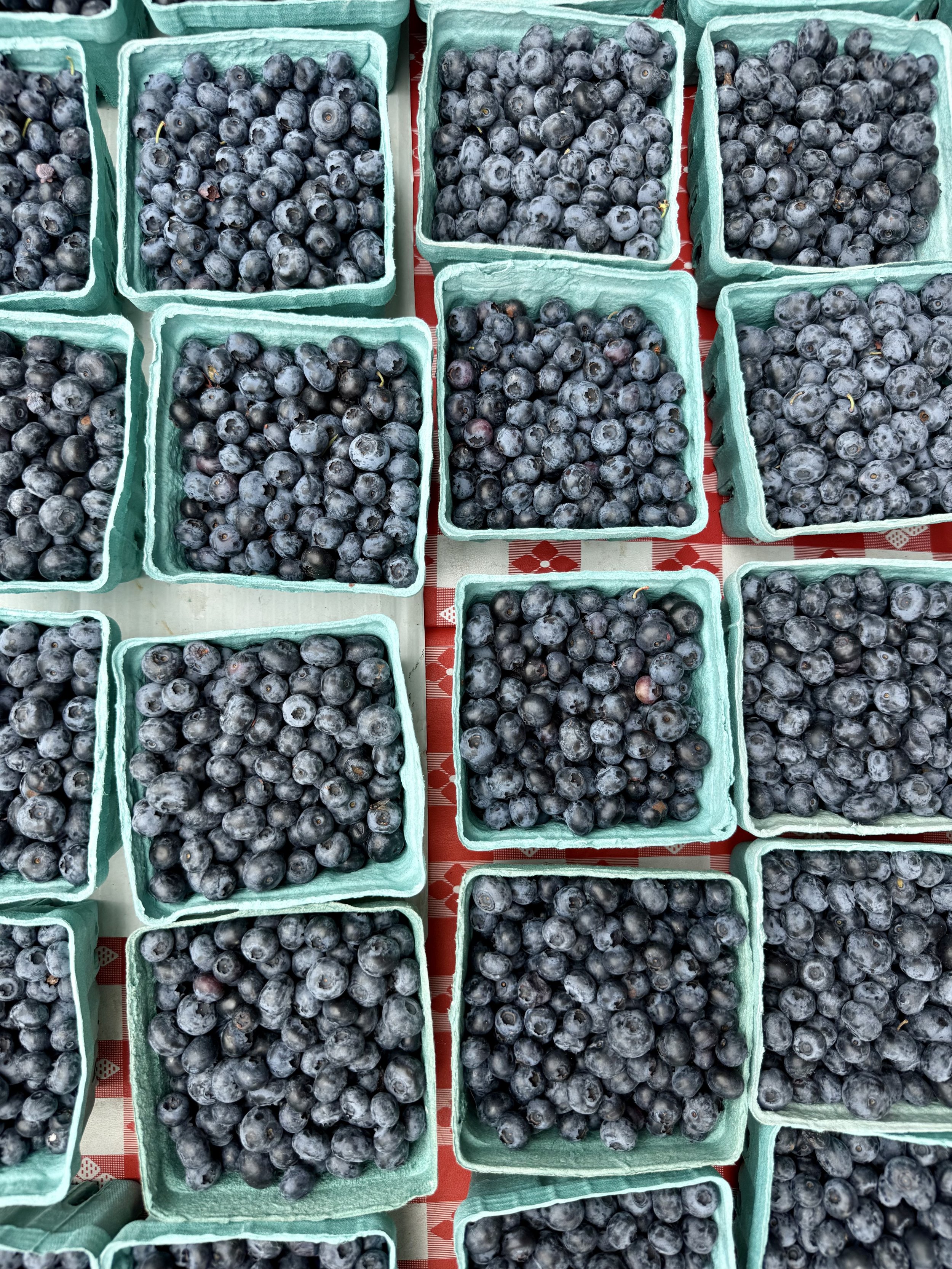 Multiple baskets of fresh blueberries 