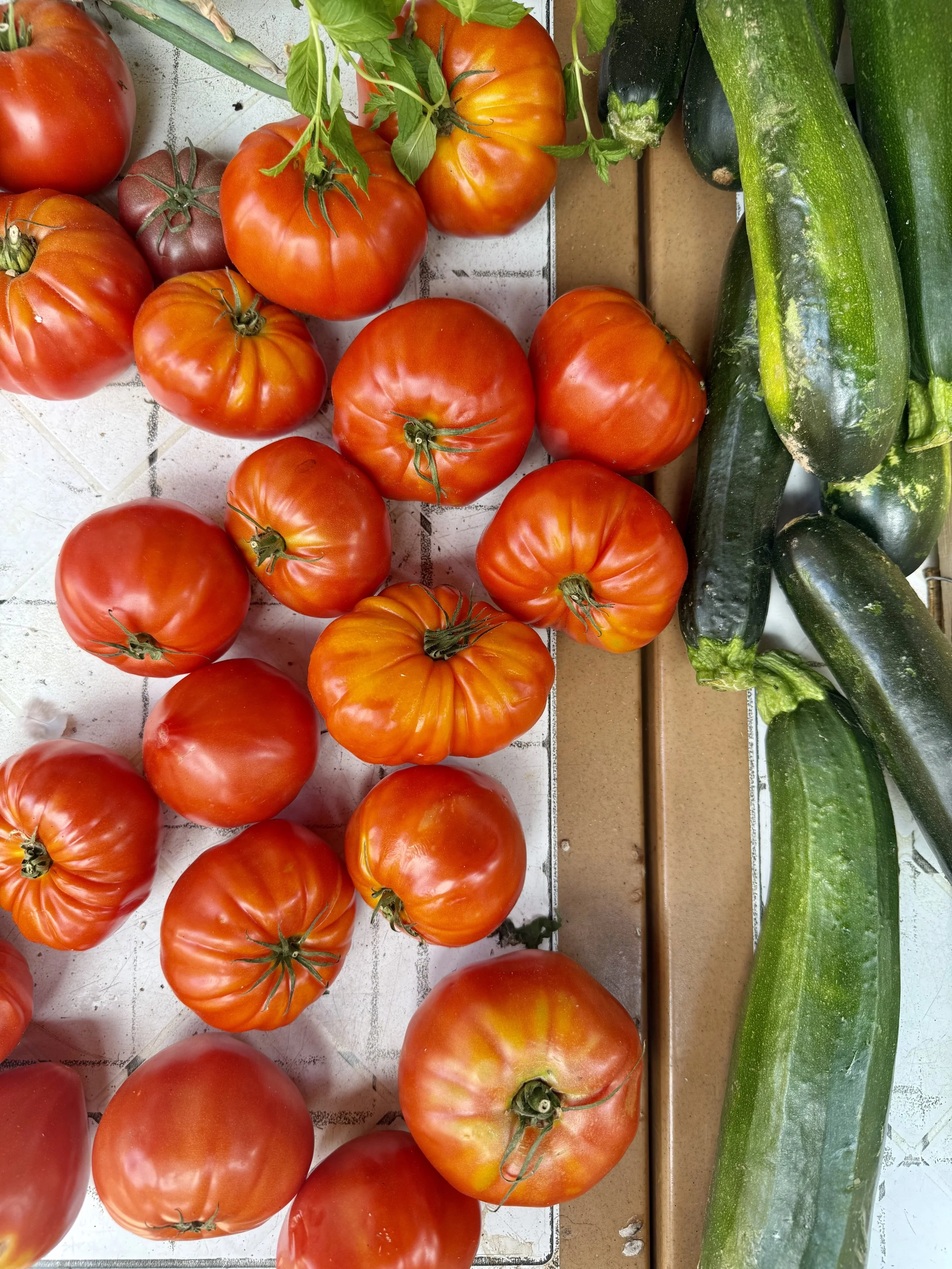 Fresh red tomatoes and green zucchinis arranged on a surface.