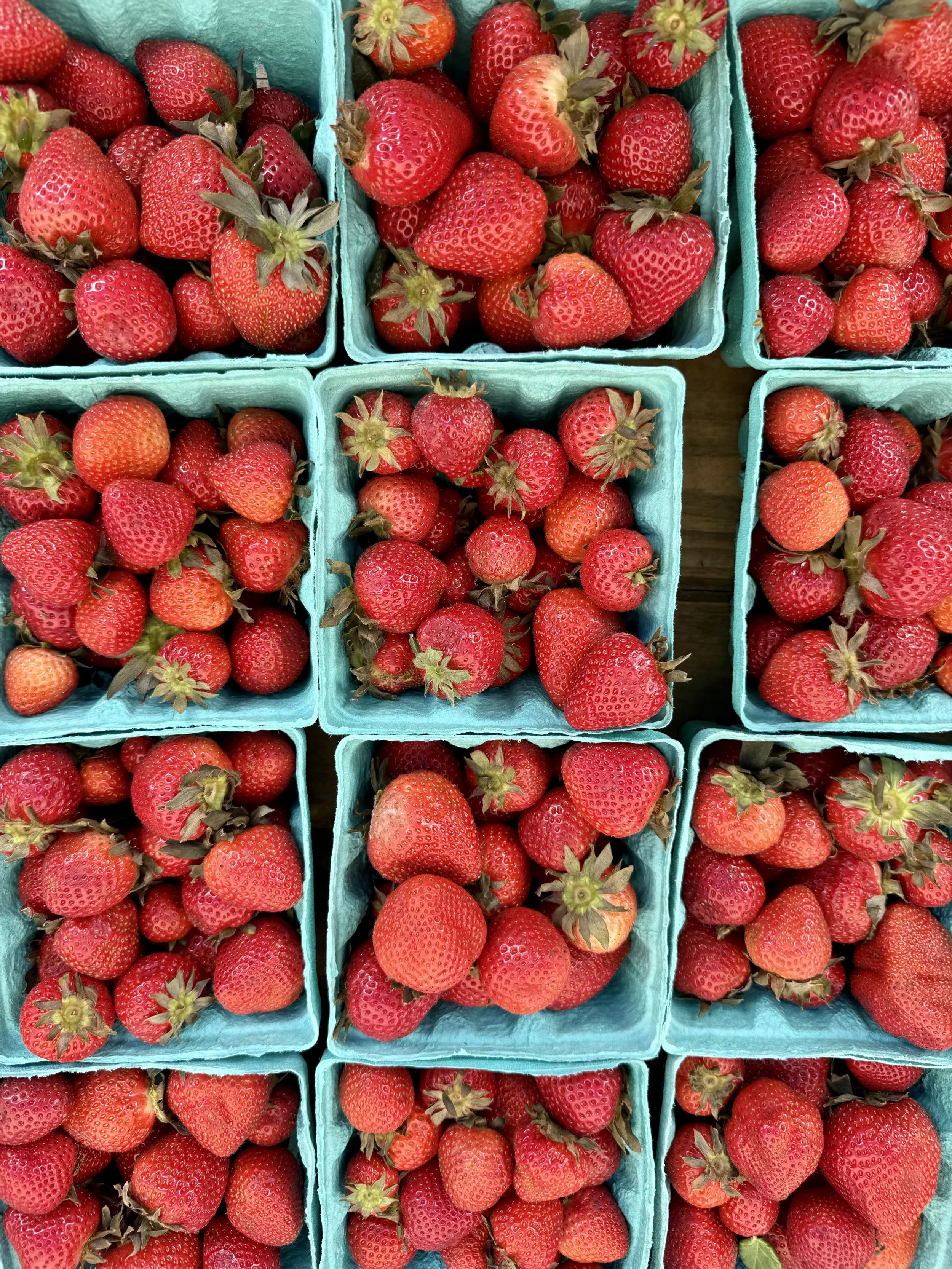 Multiple baskets of fresh strawberries