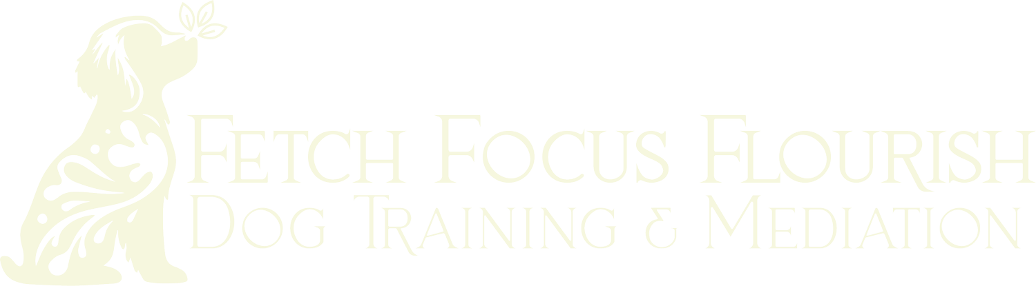 Fetch Focus Flourish