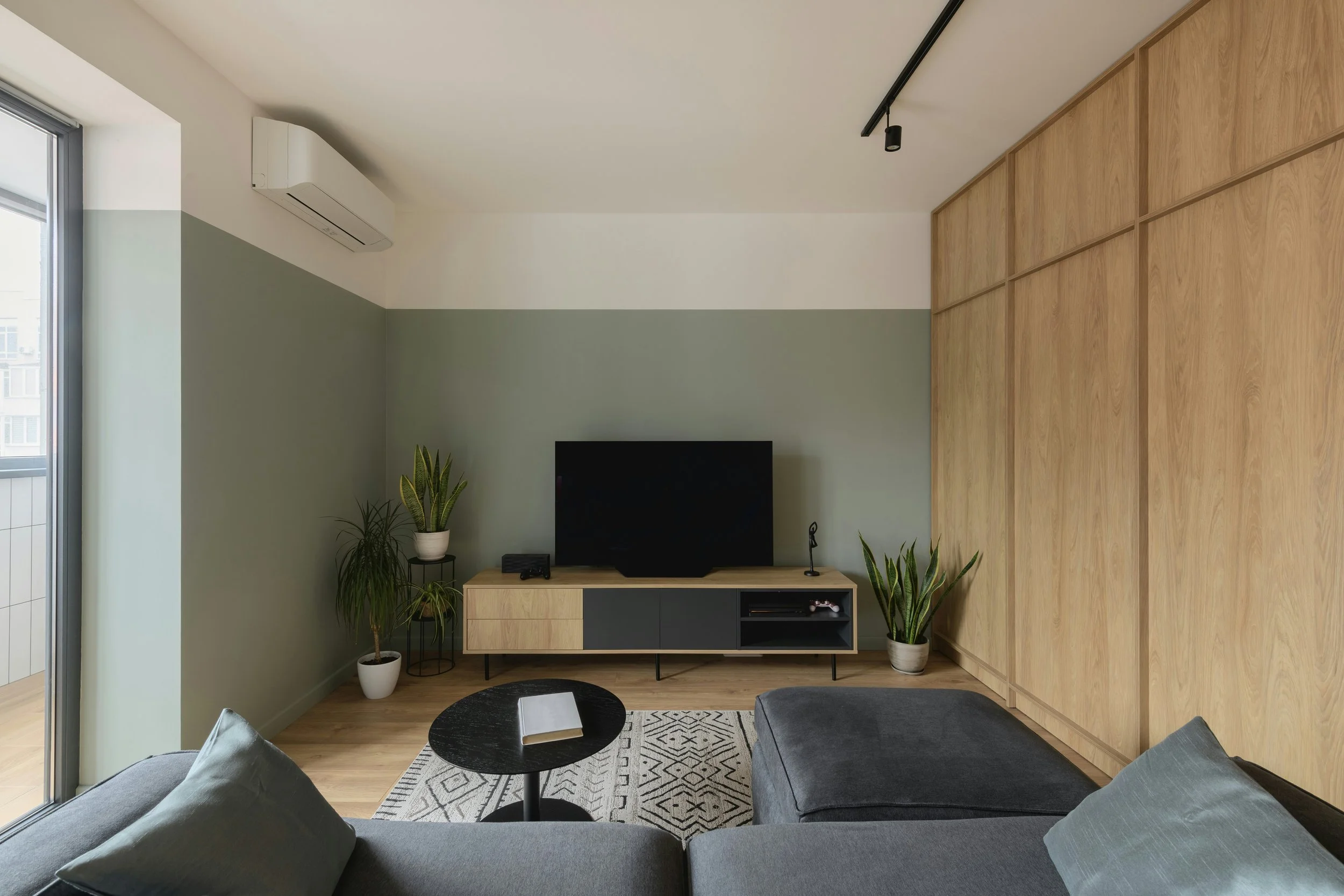 Modern living room with a gray sofa, black round coffee table, potted plants, a TV on a wooden and black TV stand, and wooden cabinets on one wall under natural light from large windows.