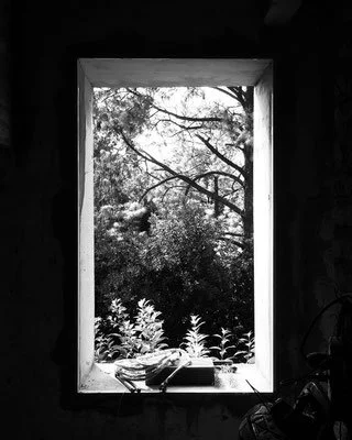 image(11).jpg