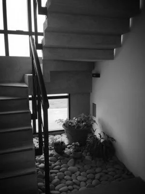 image(9).jpg