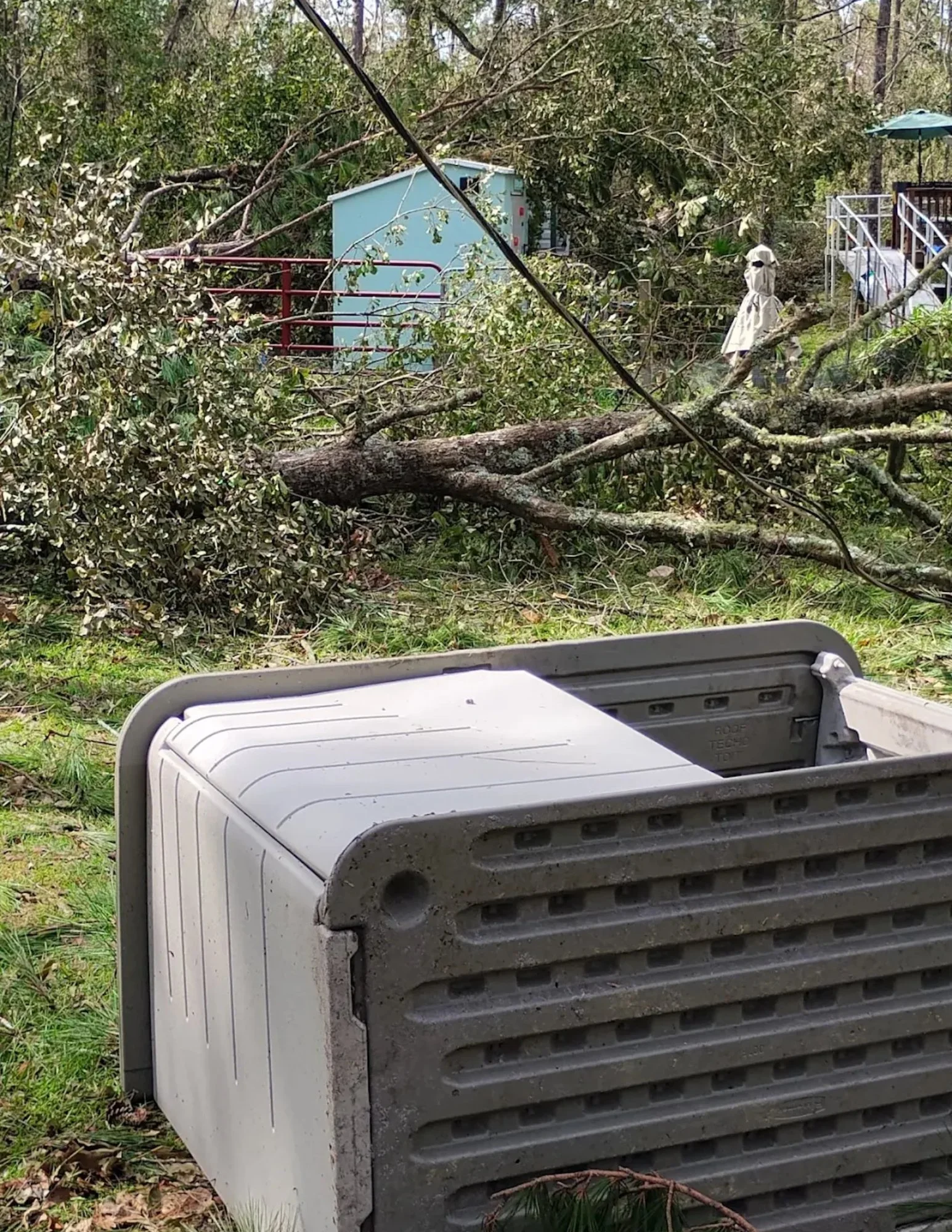 An outdoor scene showing a fallen tree branch on an above-ground storm shelter, storm debris, and a background of trees and a deck with a person wearing white standing near the railings.