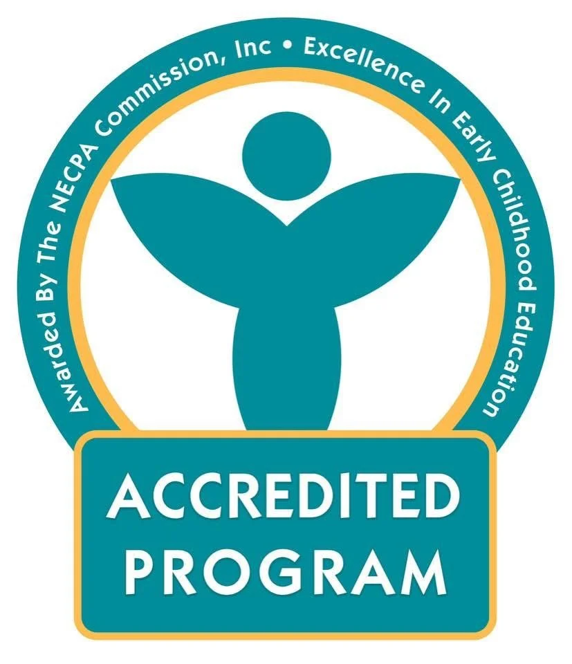 NECPA National Early Childhood Program Accreditation logo