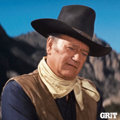 A man dressed as a cowboy in a western scene, wearing a black hat, a scarf, and a vest, with mountains in the background.