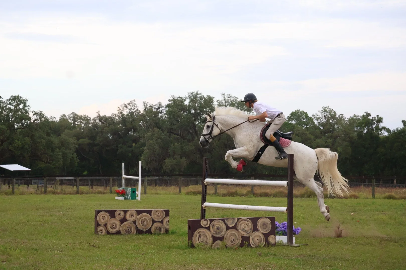 Barn & Horses Combo Shoot