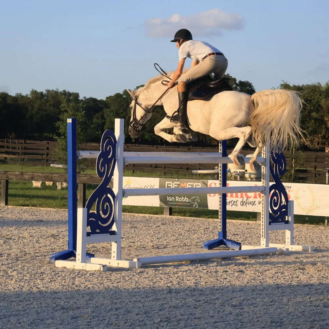 A person riding a white horse jumping over a showjump obstacle in an equestrian competition.