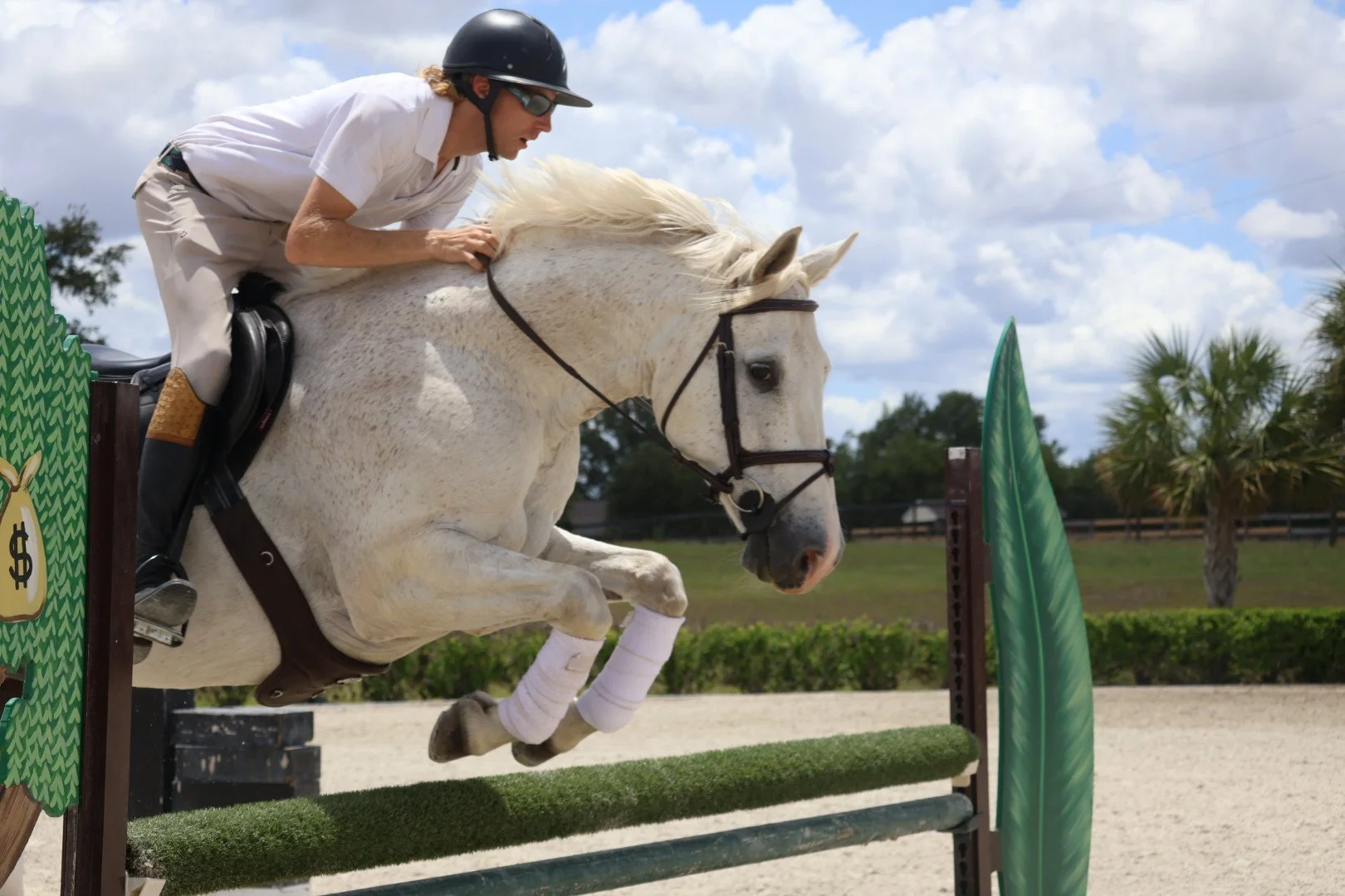 Professional Package (2 Horses)