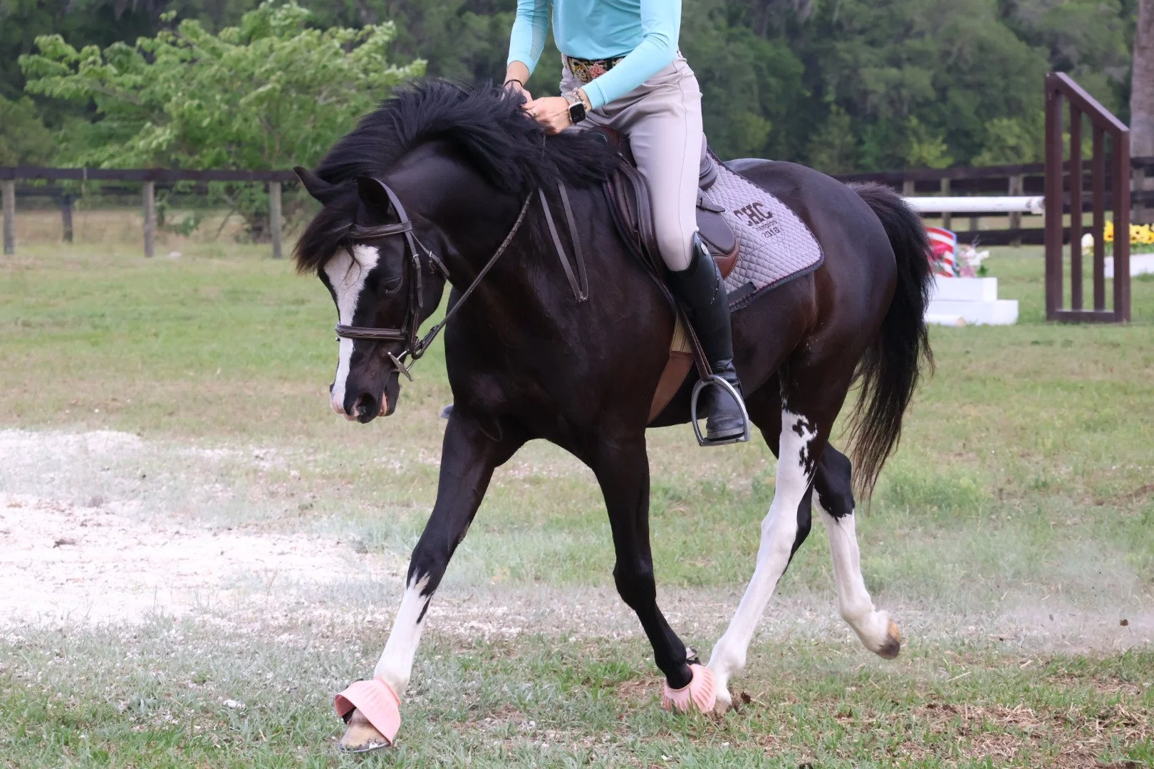 Professional Rider Add- On