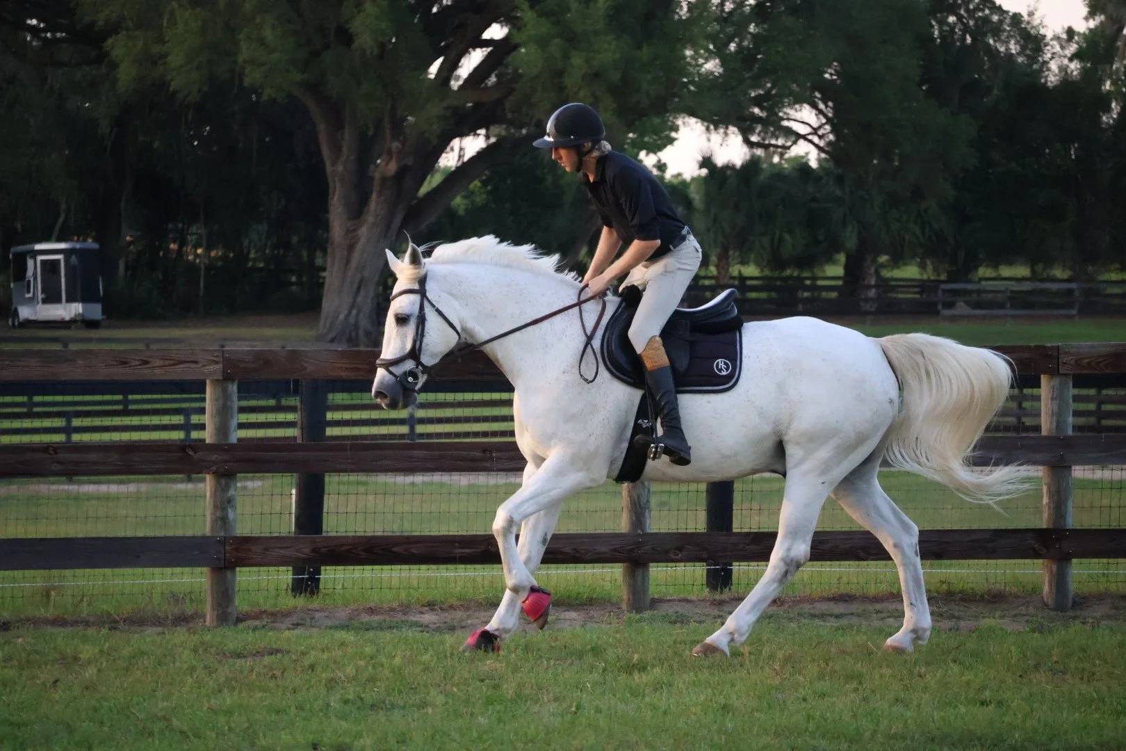 A person riding a white horse in an outdoor riding arena with a wooden fence and green trees in the background during sunset.